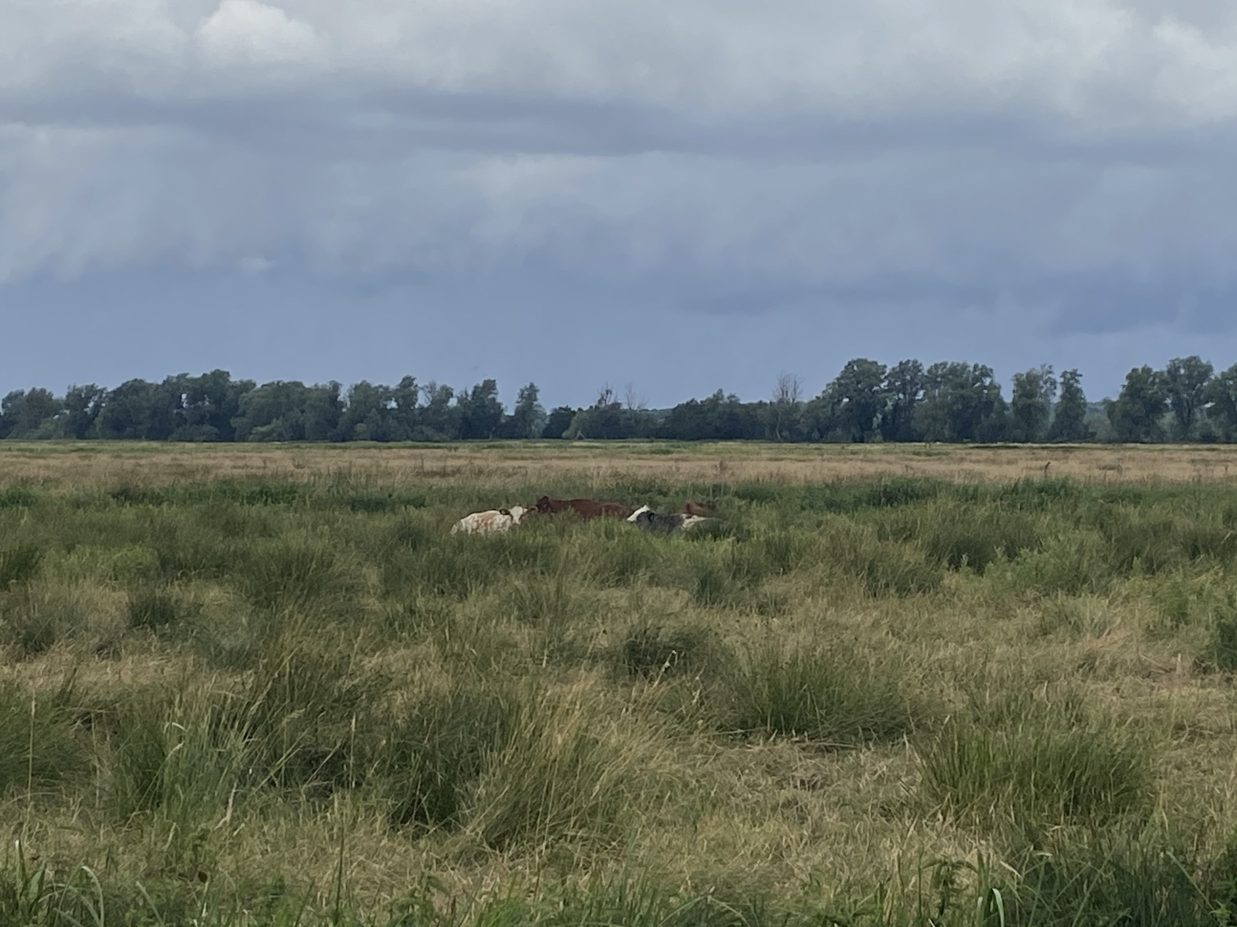 Photo 7 de l’itinéraire Bikemap « Pains Close, Beccles to Pains Close, Beccles »