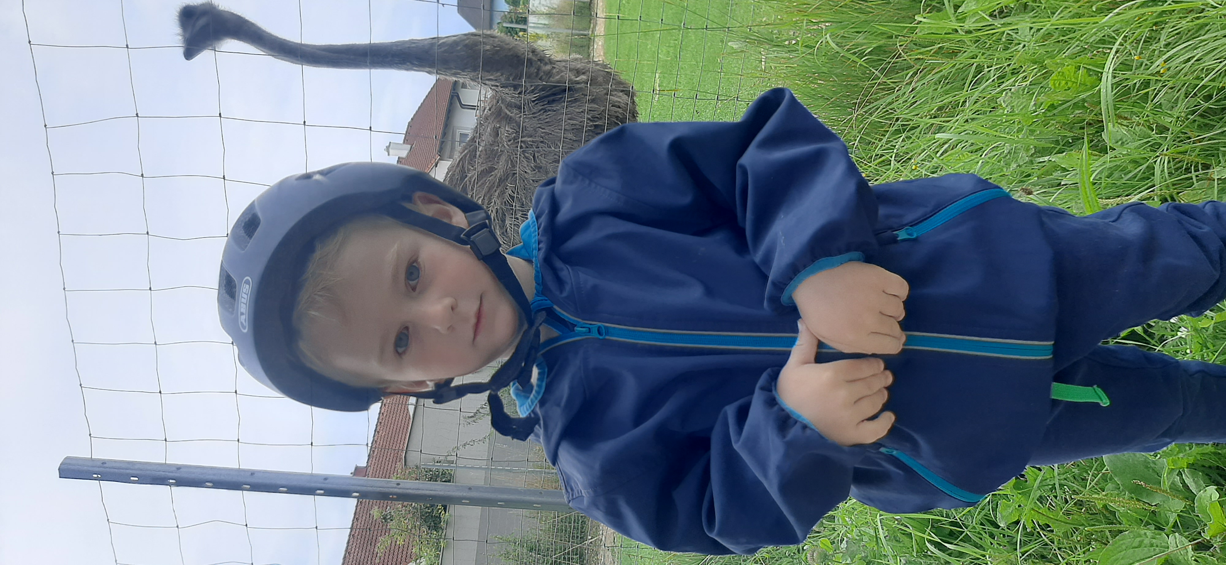 Zdjęcie 3 trasy Bikemap „stadlhof, Vogel Strauß und retour” Zdjęcie 3 trasy Bikemap „stadlhof, Vogel Strauß und retour”