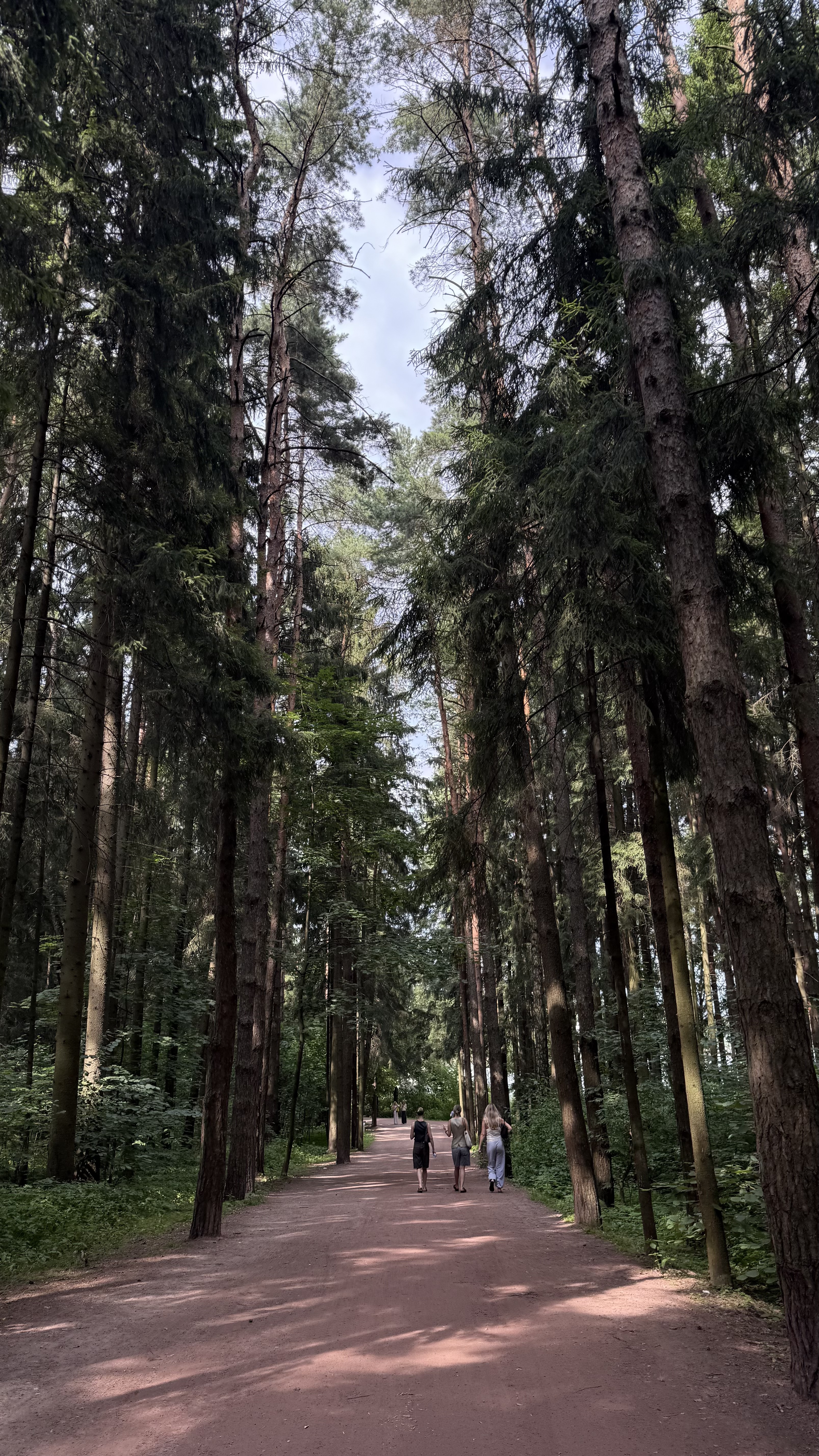 мещерский