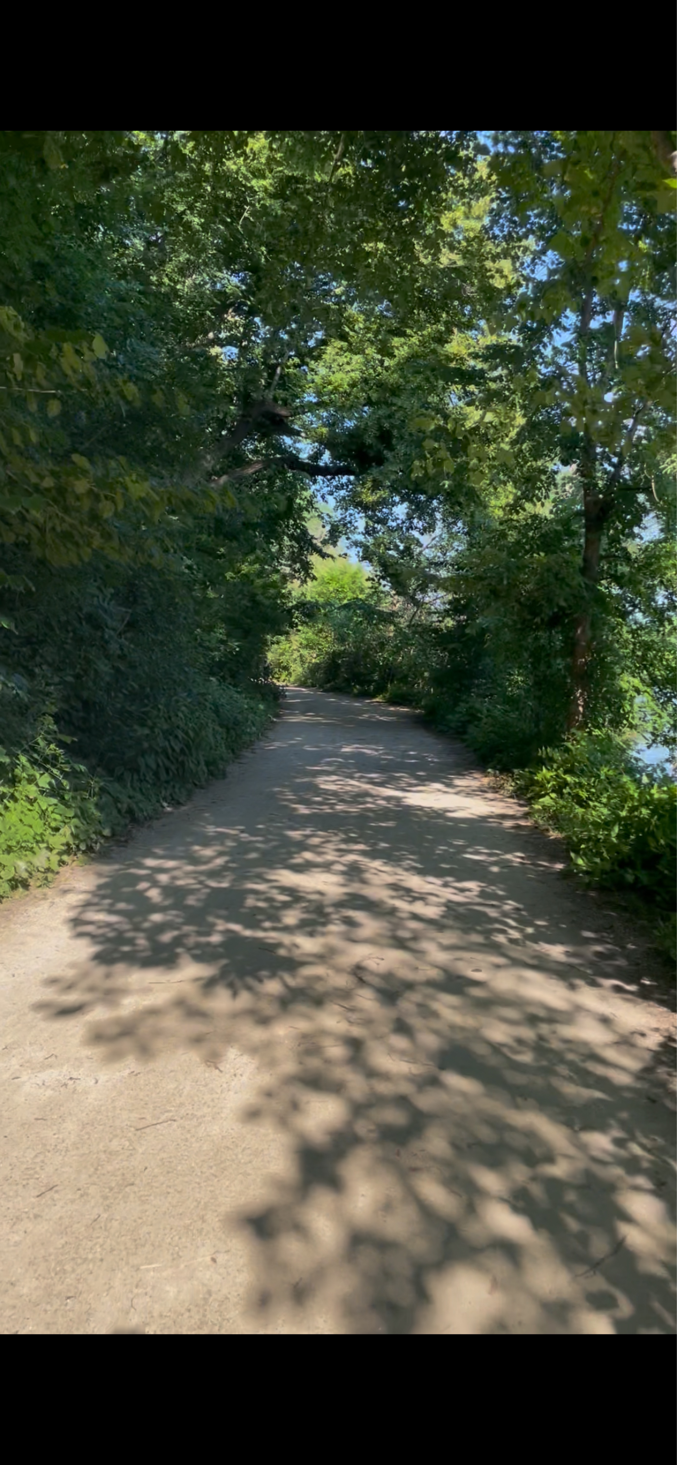 Green Ridge Dr, Madison to University Bay Dr, Shorewood Hills