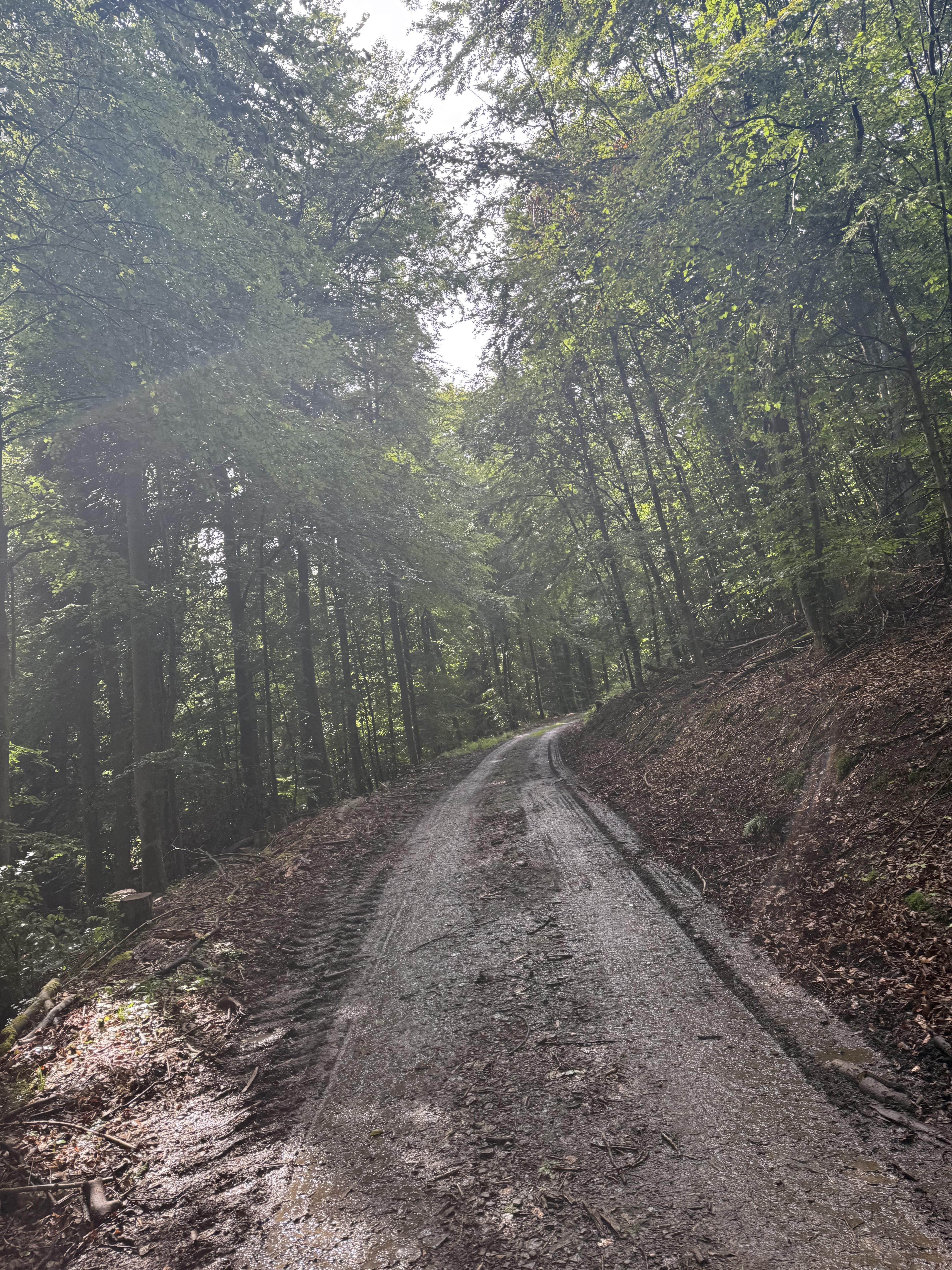 In der Grube, Breidenbach to Vater-Jahn-Straße, Biedenkopf