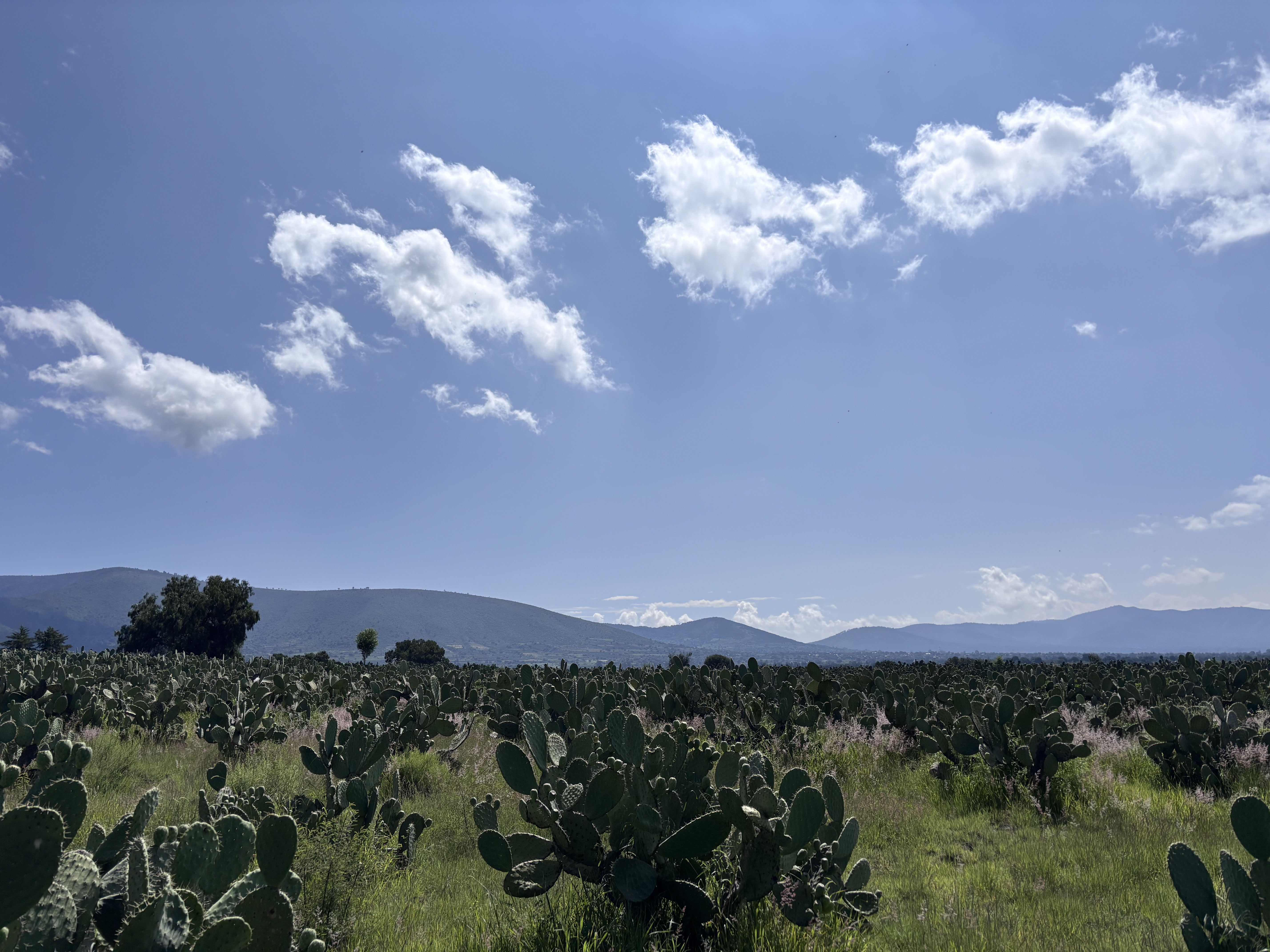 Photo 7 of the Bikemap route "Ruta cumpleañera 🥳🎉"