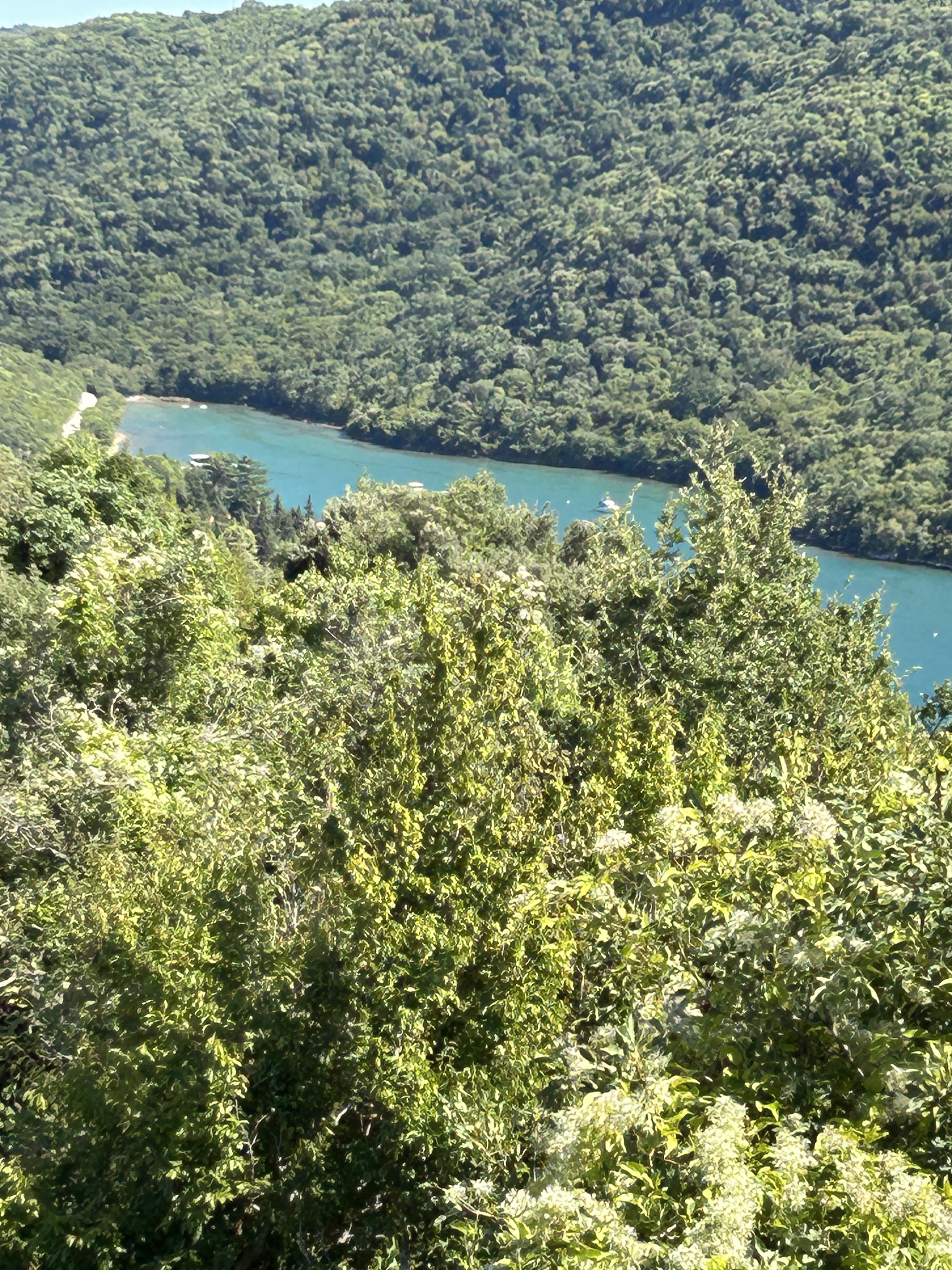 Foto 7 del percorso Bikemap "Rovinj V, Rovinj nach Državna Cesta 75, Jural" Foto 7 del percorso Bikemap "Rovinj V, Rovinj nach Državna Cesta 75, Jural"