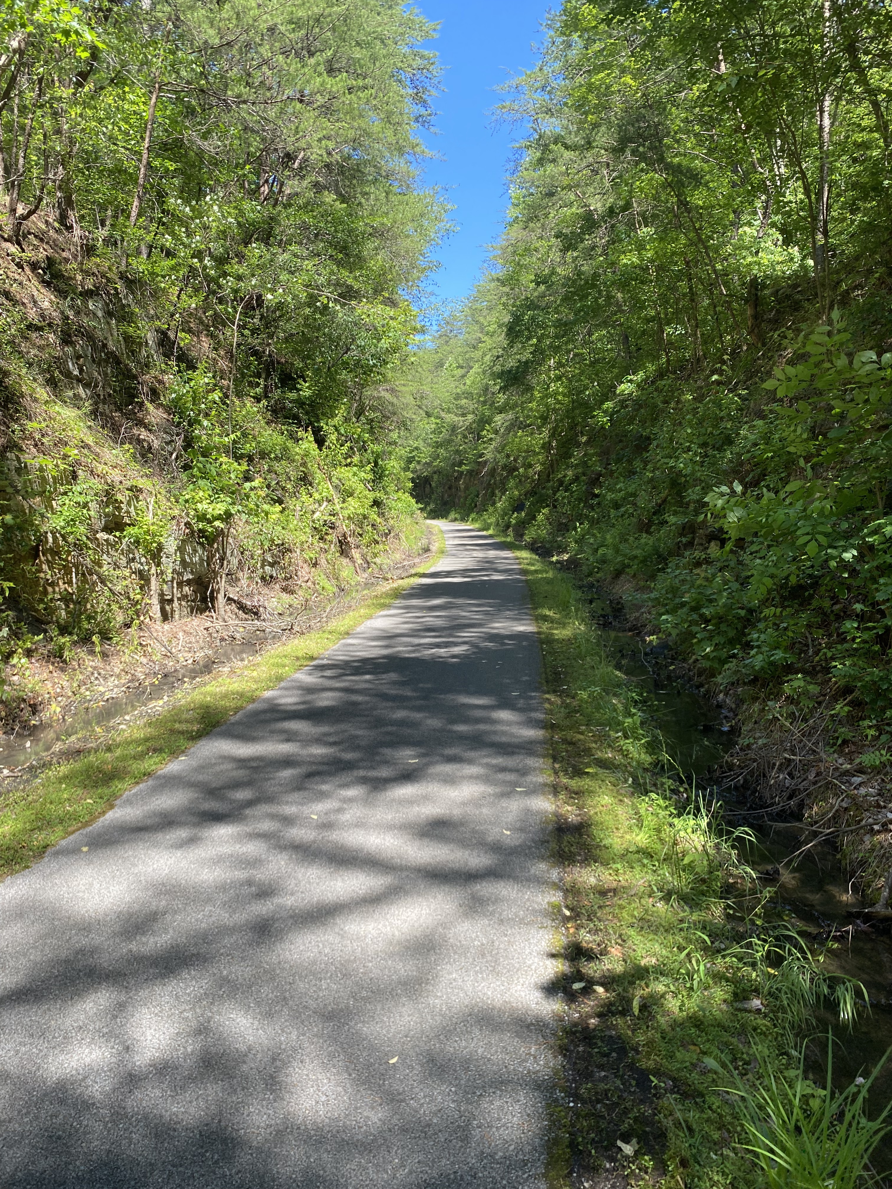 Dailey St, Piedmont to Dailey St, Piedmont