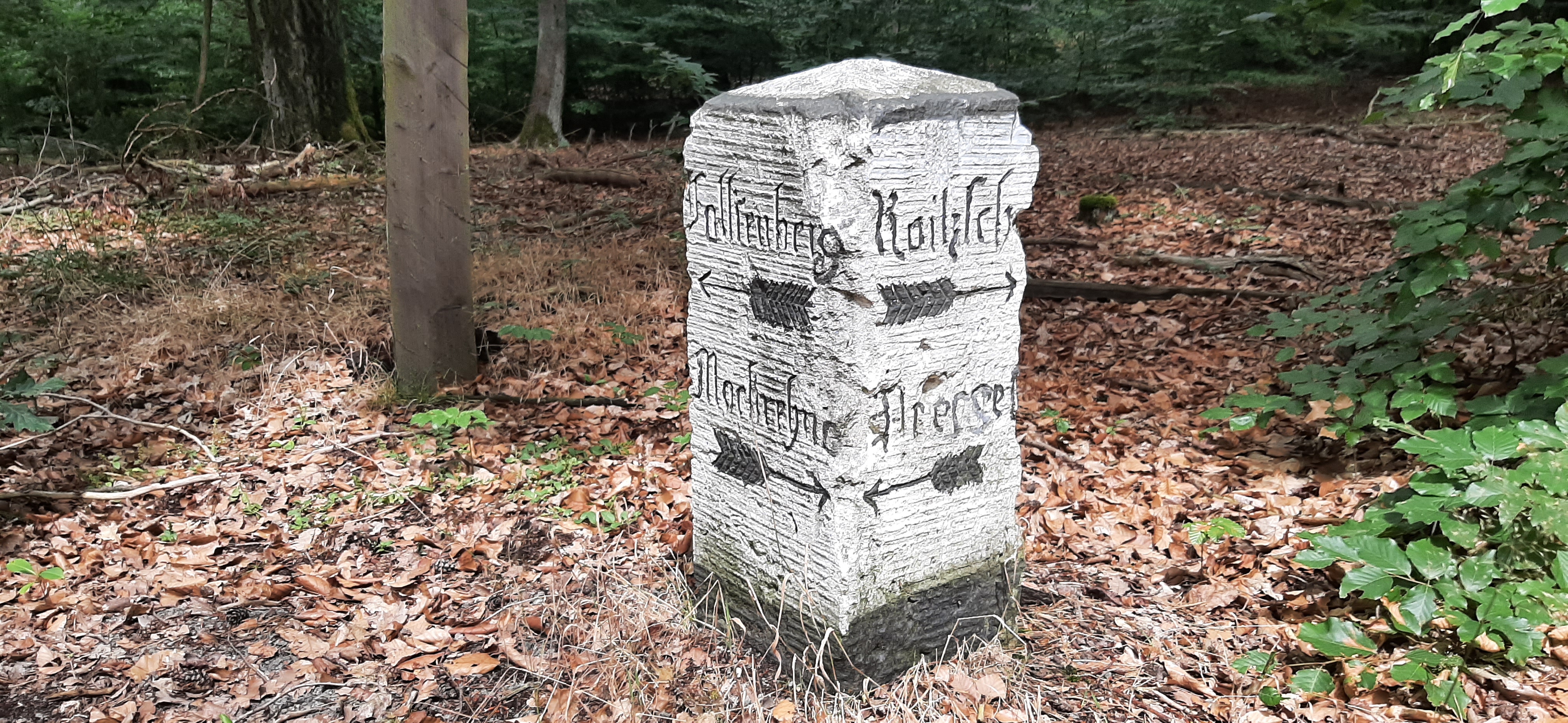 Foto 7 de la ruta de Bikemap "Herderstraße nach Strandbadweg"