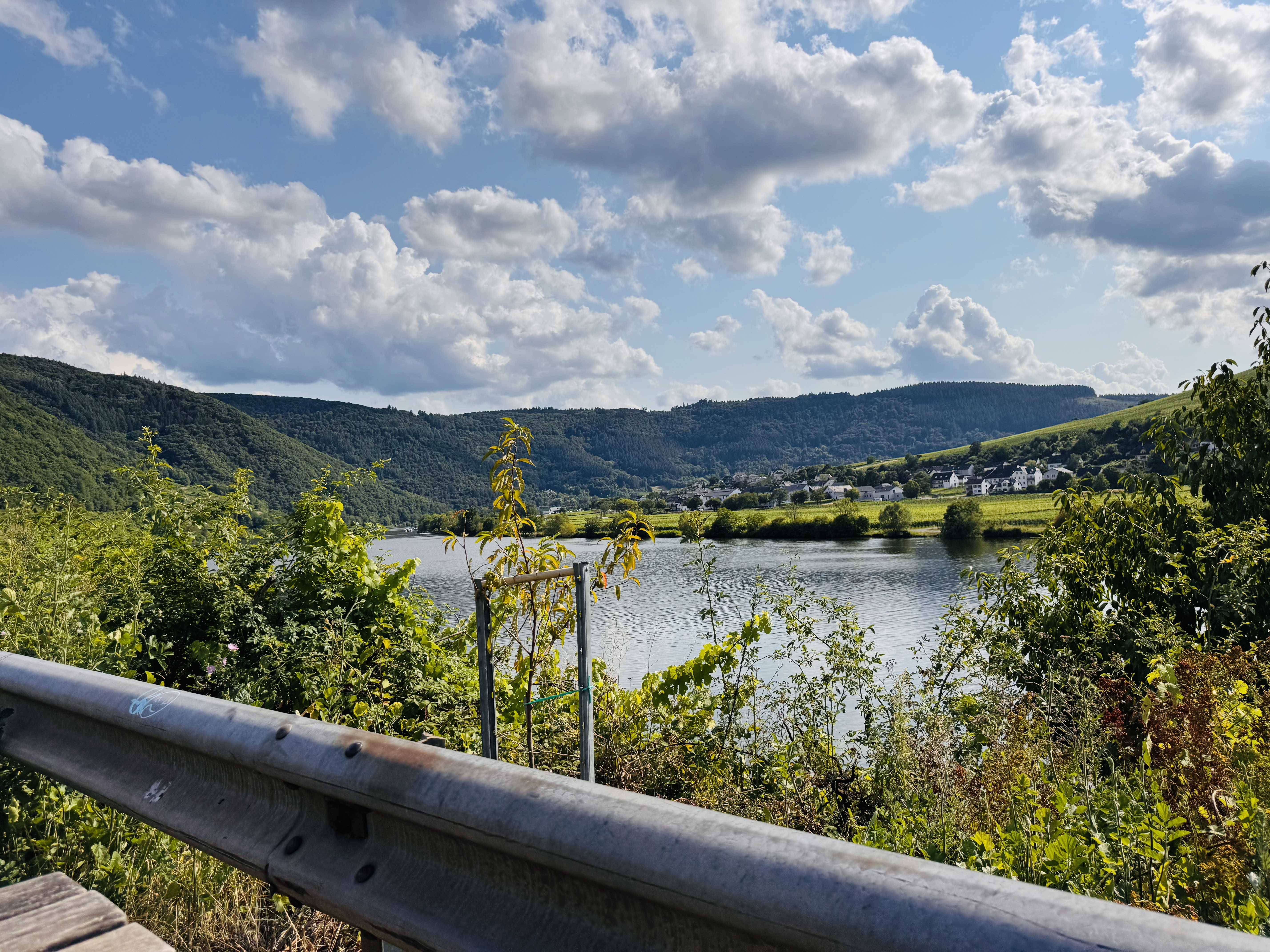 Ehrang - Schweich - Mehring - Detzem - Riol - Schweich - Ehrang