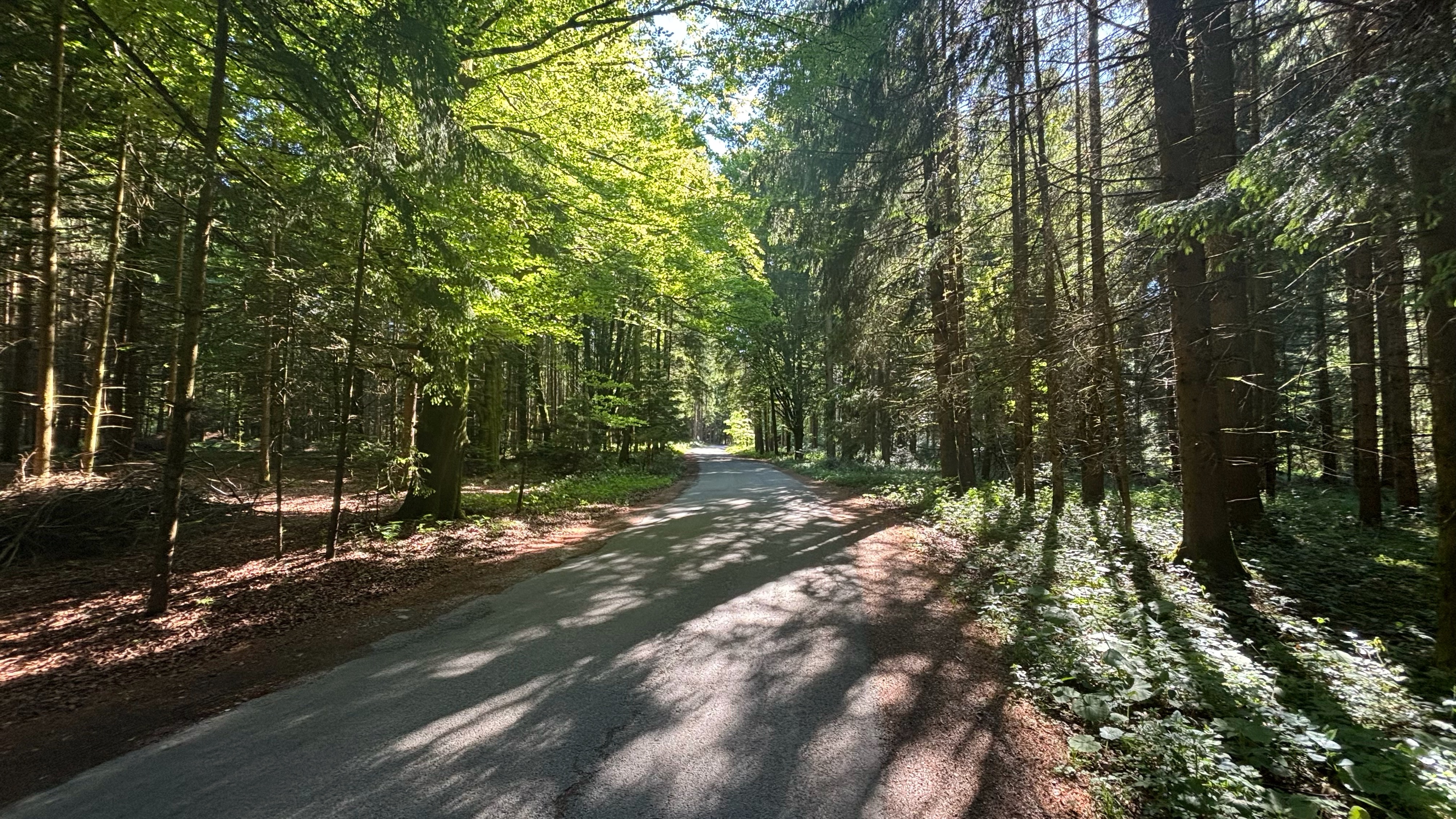 Salzburg - Henndorf - Steindorf - Friedburg - Lochen - Mattsee - Elixhausen - Salzburg