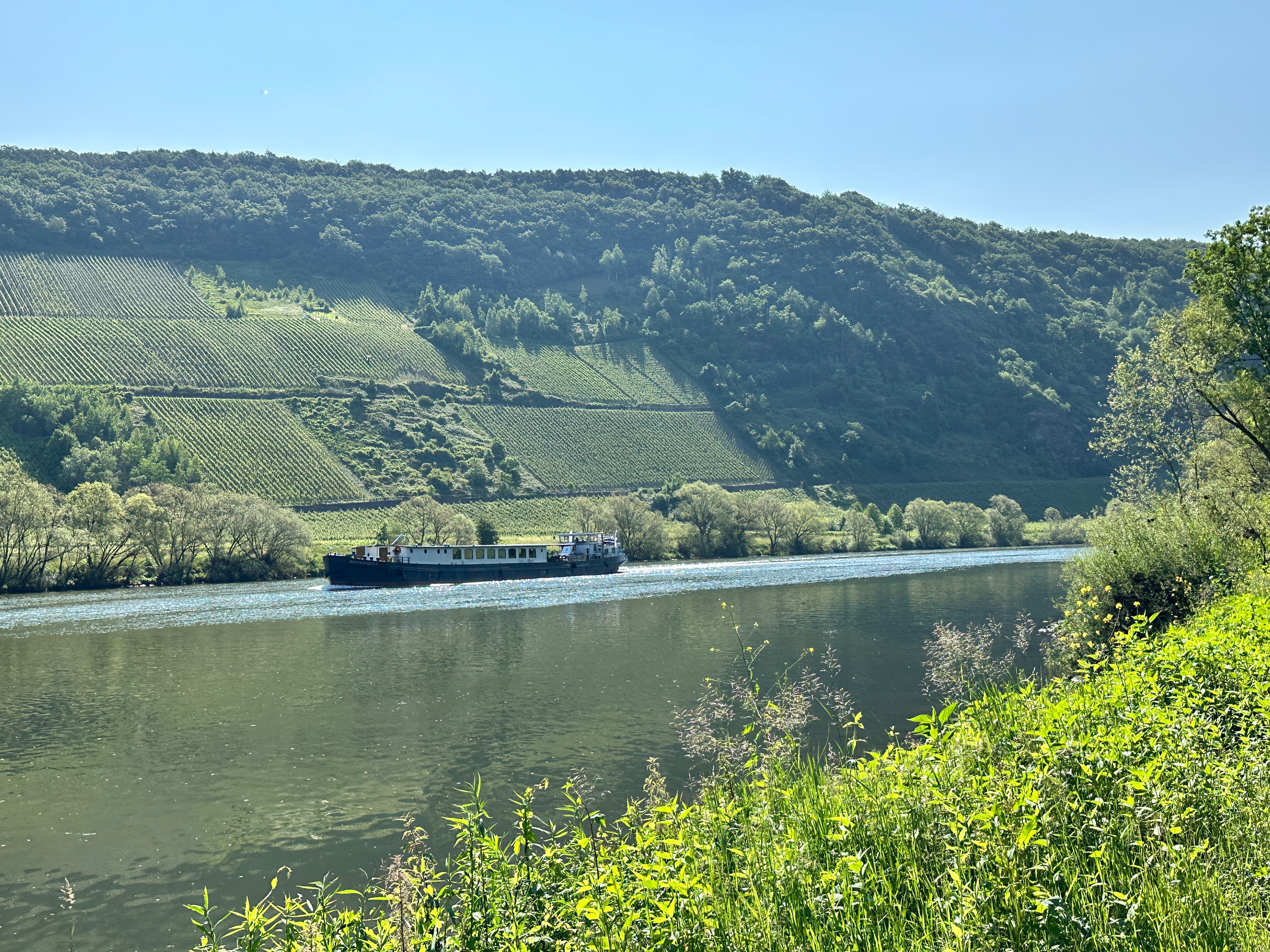 Mosel 9: Traben-Trabach B53, Enkirch nach Bullay Doppelstockbrücke