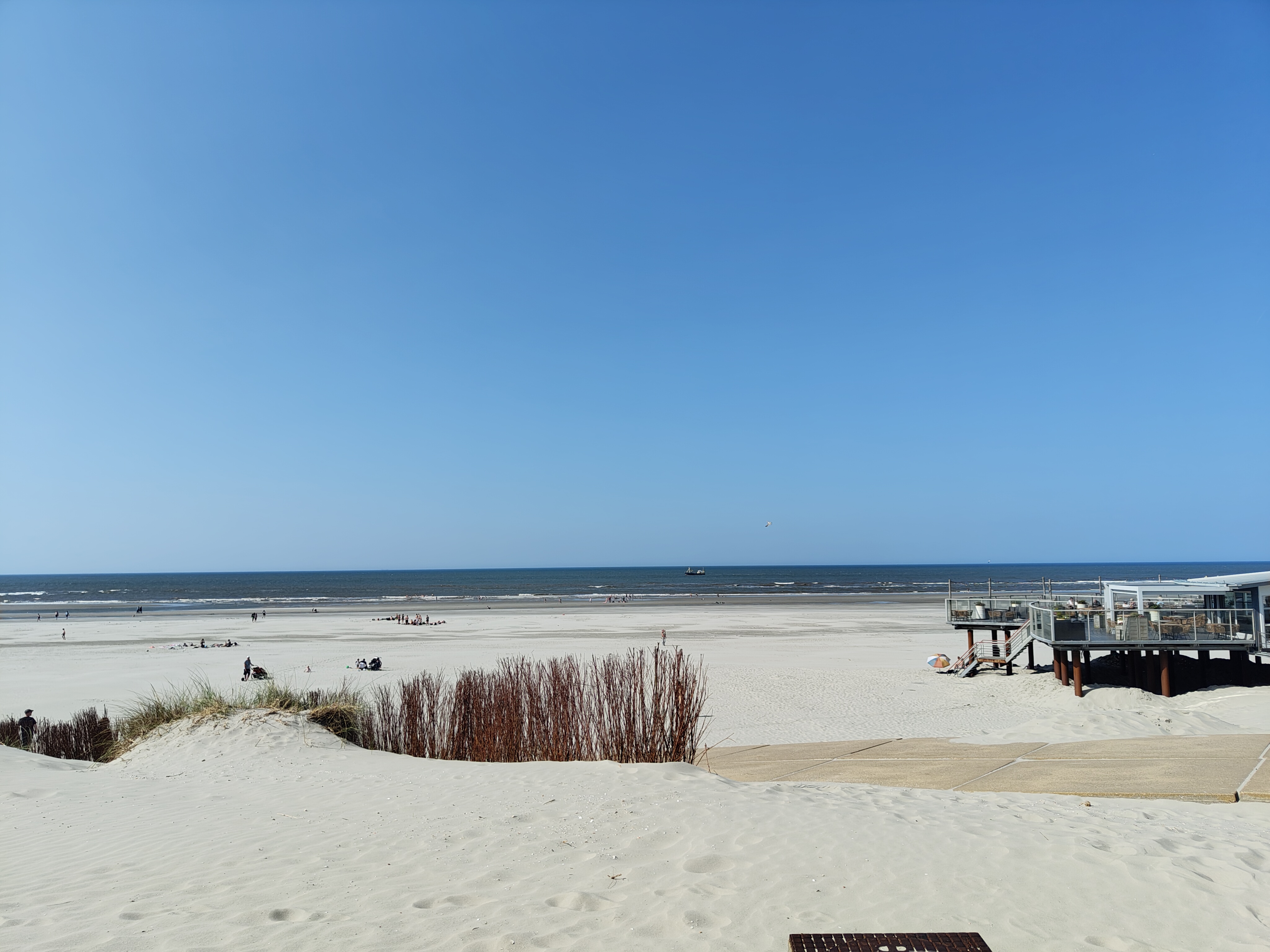 Mooi langs het Wad met het Hollummerbos