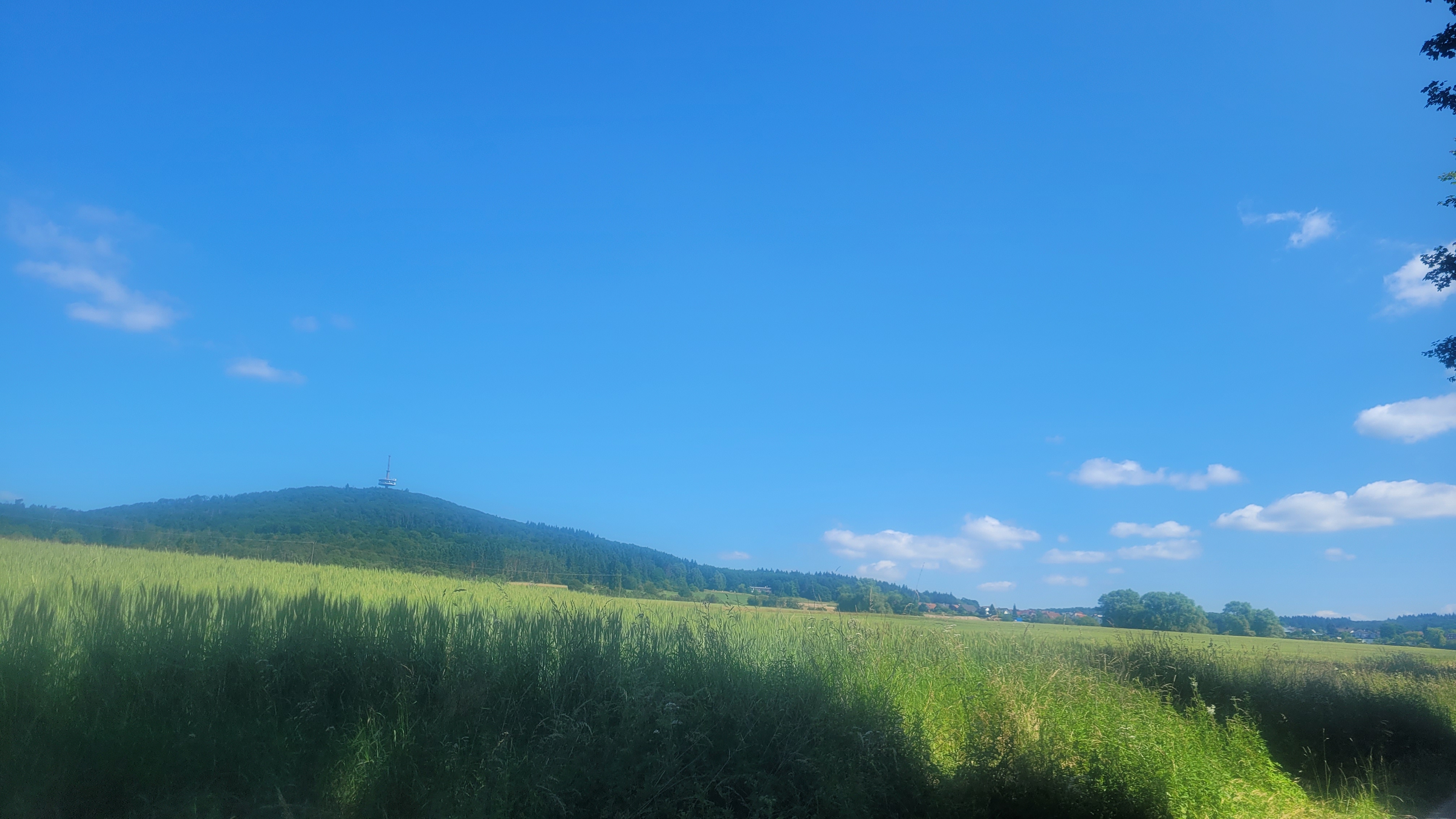 Foto 7 del percorso Bikemap "Mit dem Gravel Bike auf den Dünsberg." Foto 7 del percorso Bikemap "Mit dem Gravel Bike auf den Dünsberg."