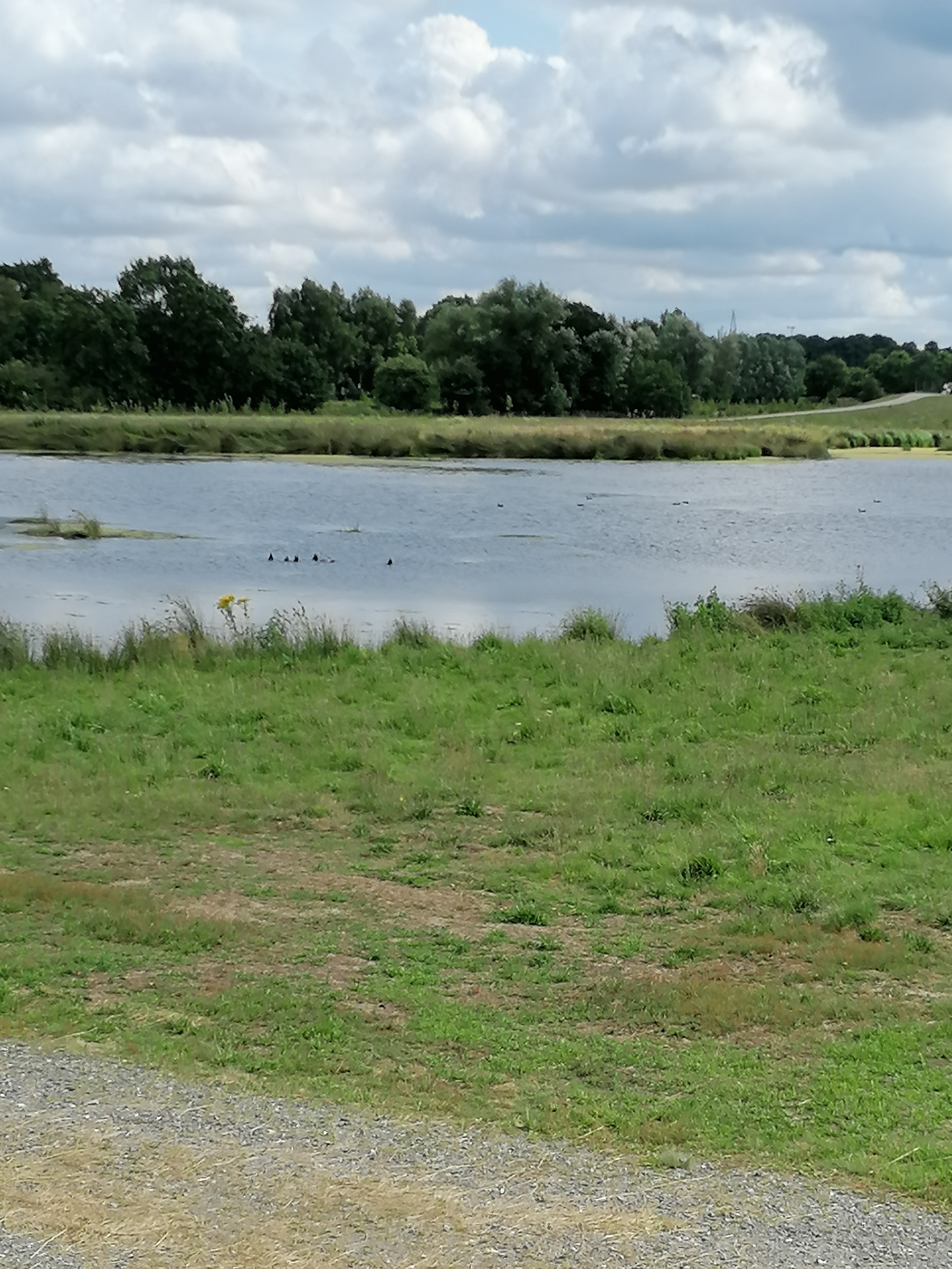 Photo 6 de l’itinéraire Bikemap « Lesum, Wümme, Wümmewiesen und Fischerhude » Photo 6 de l’itinéraire Bikemap « Lesum, Wümme, Wümmewiesen und Fischerhude »