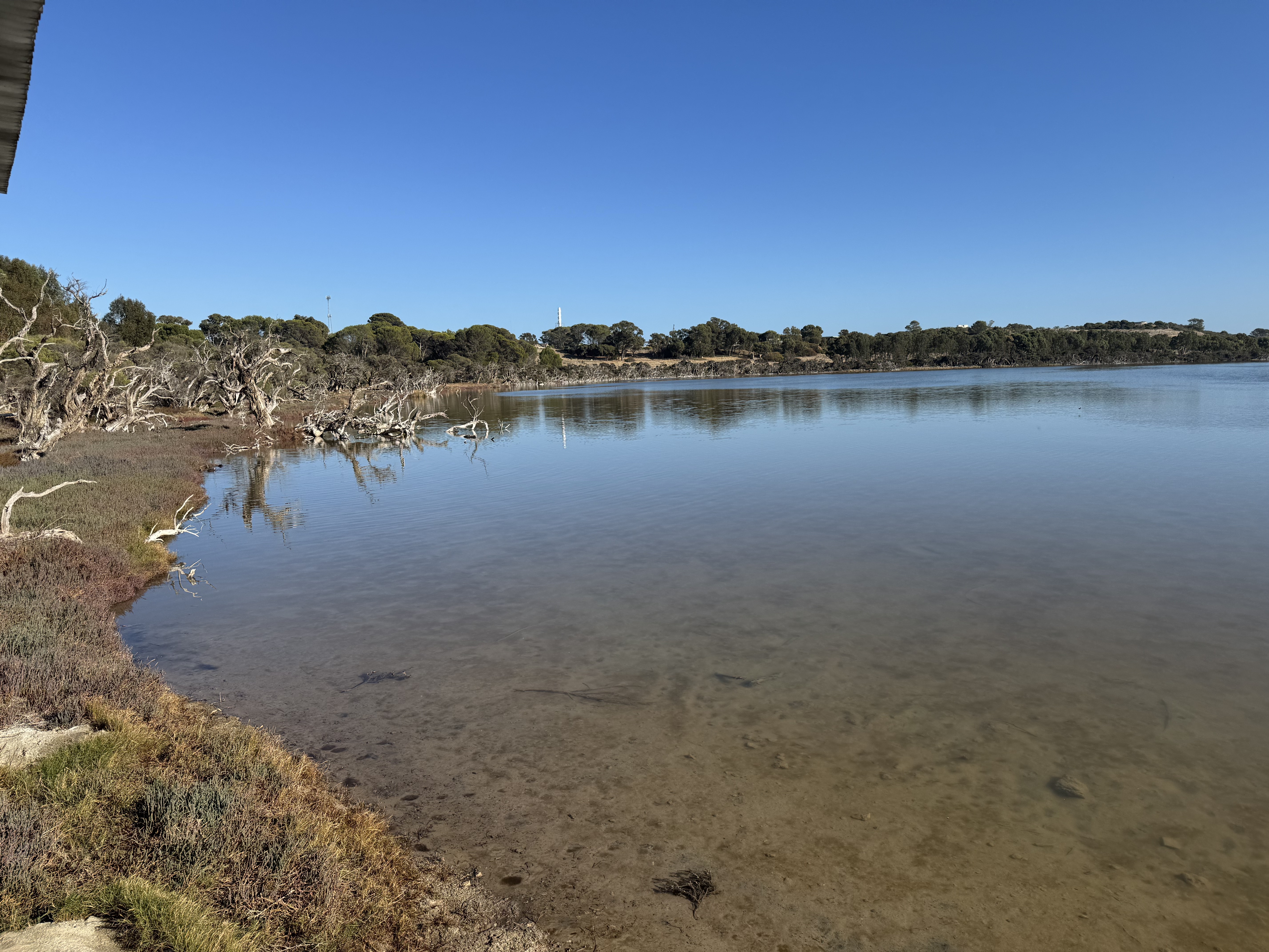 Lullworth Tce, North Coogee to Lullworth Tce, North Coogee