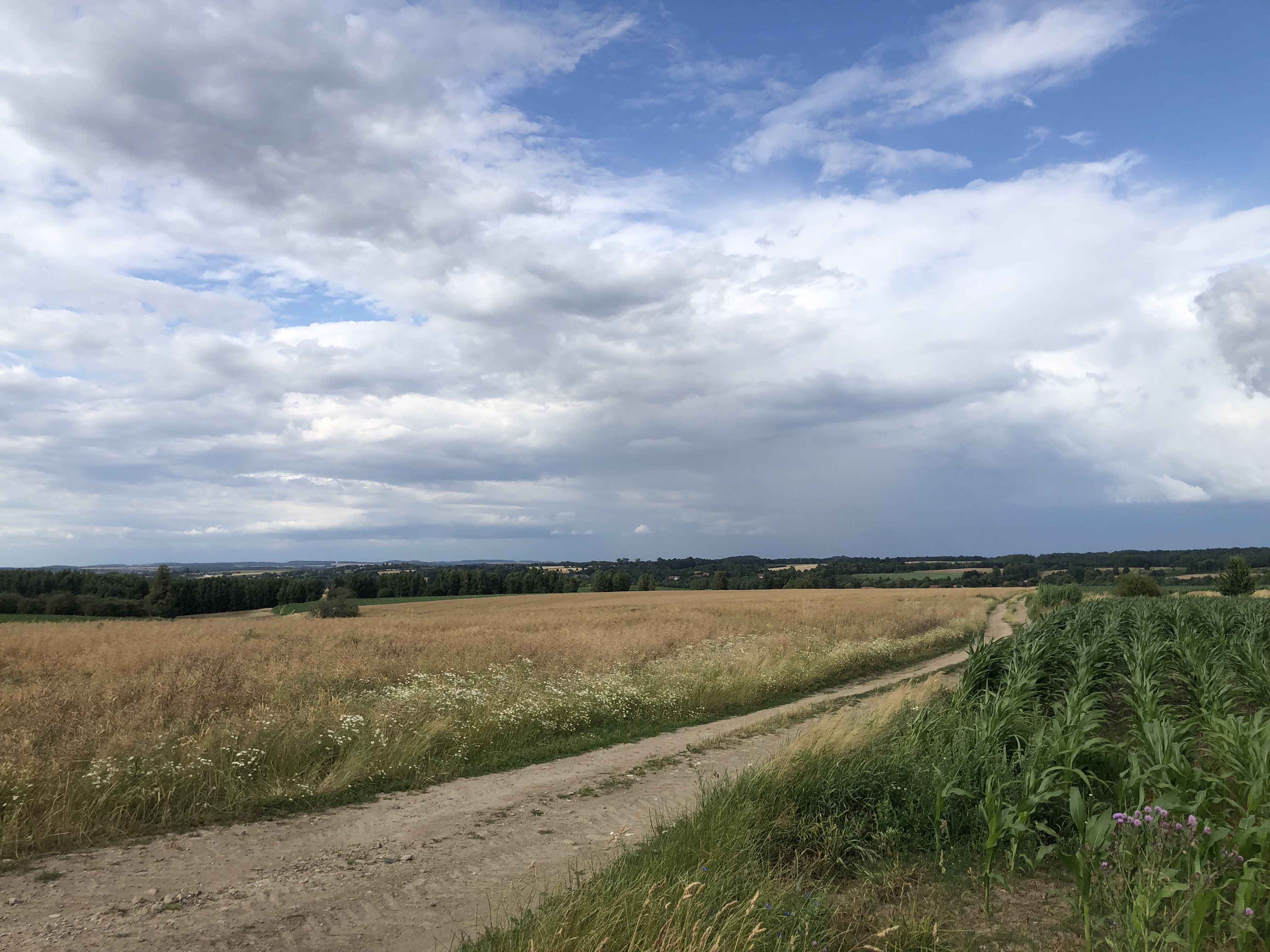 Adama Mickiewicza, Zawidów do Adama Mickiewicza, Zawidów