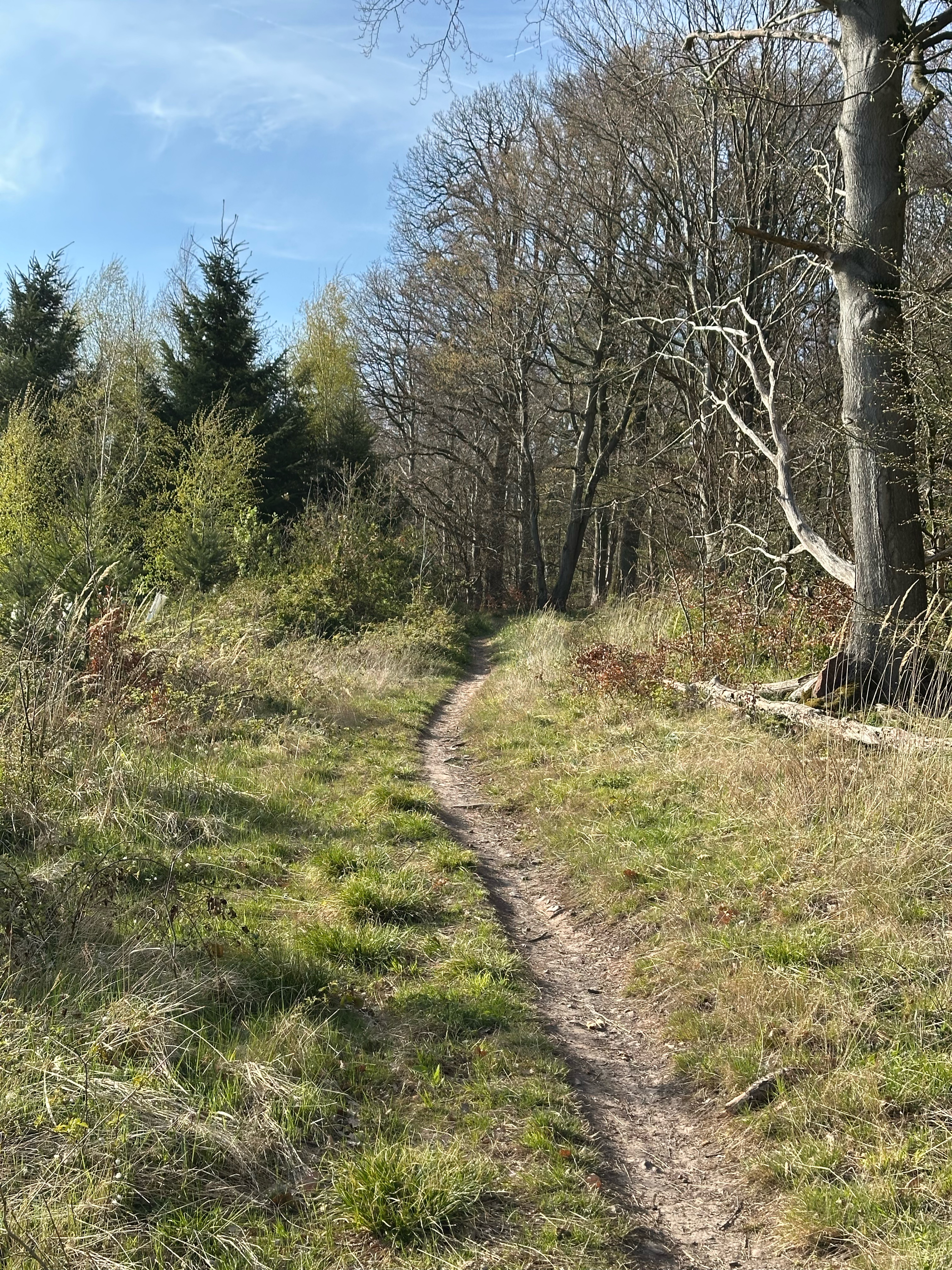 Saganer Straße 8, Hildesheim nach Schildweg, Hildesheim