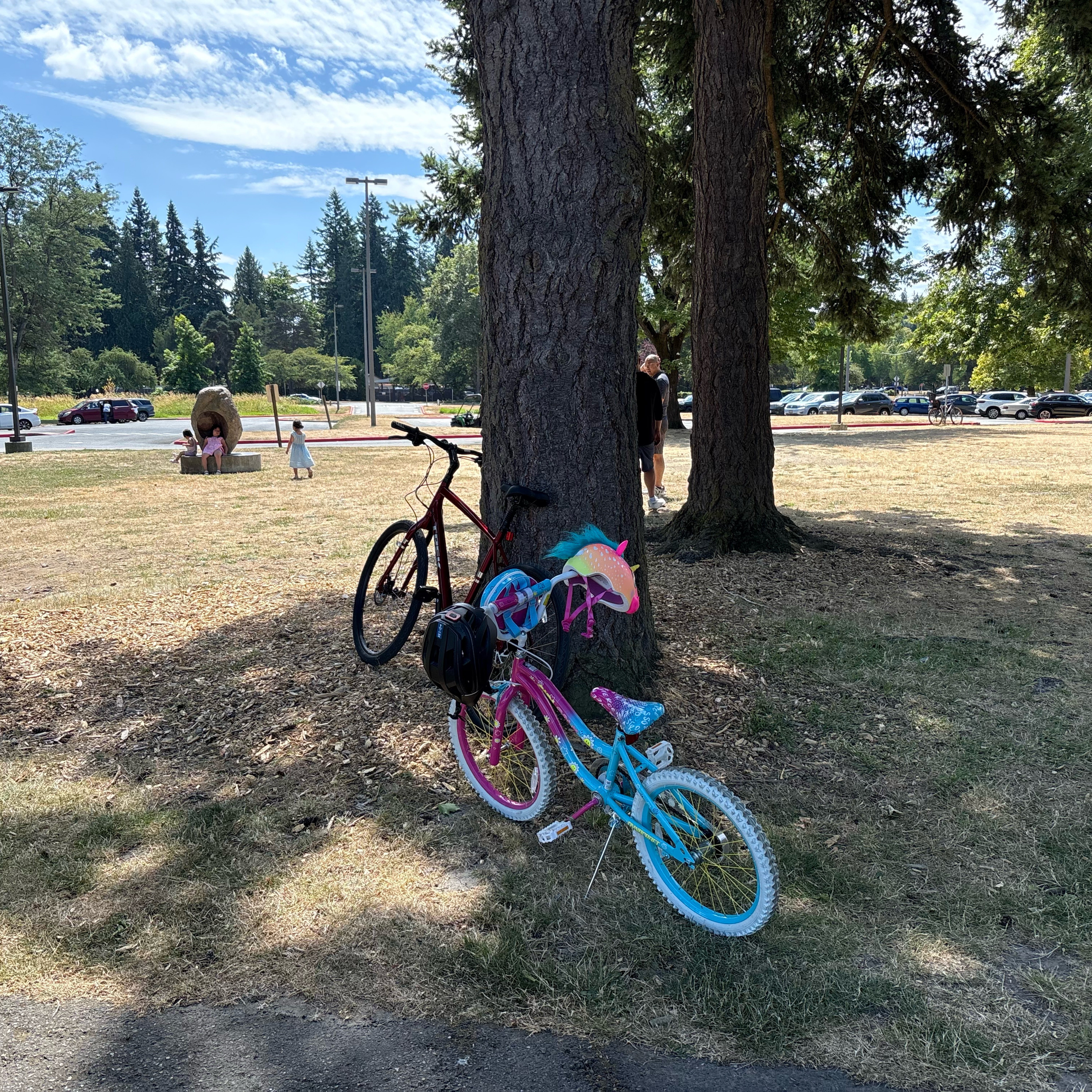 NE 180th St, Bothell to Par Course, Redmond
