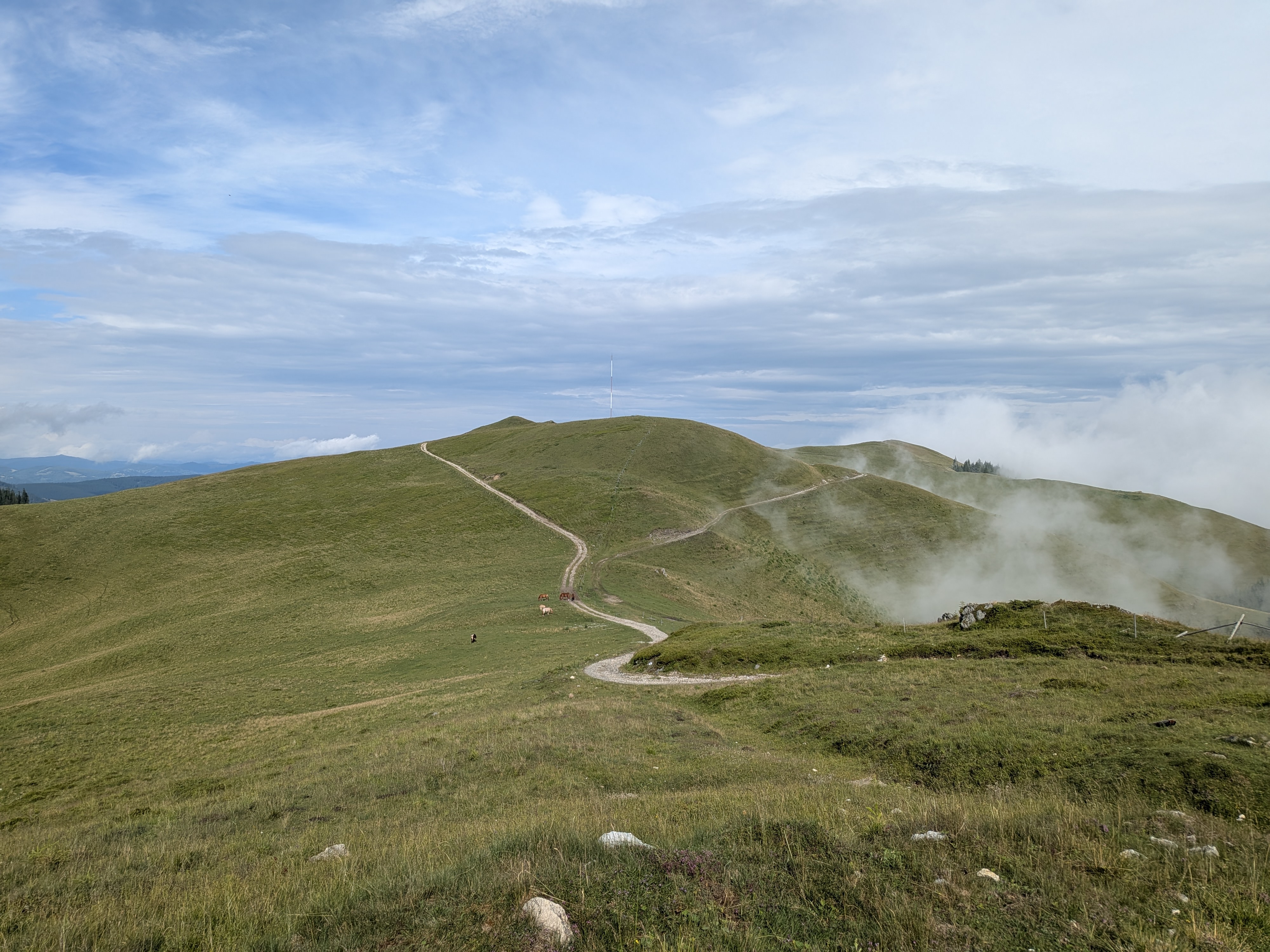 Day 3 - Ciocănești MTB loop