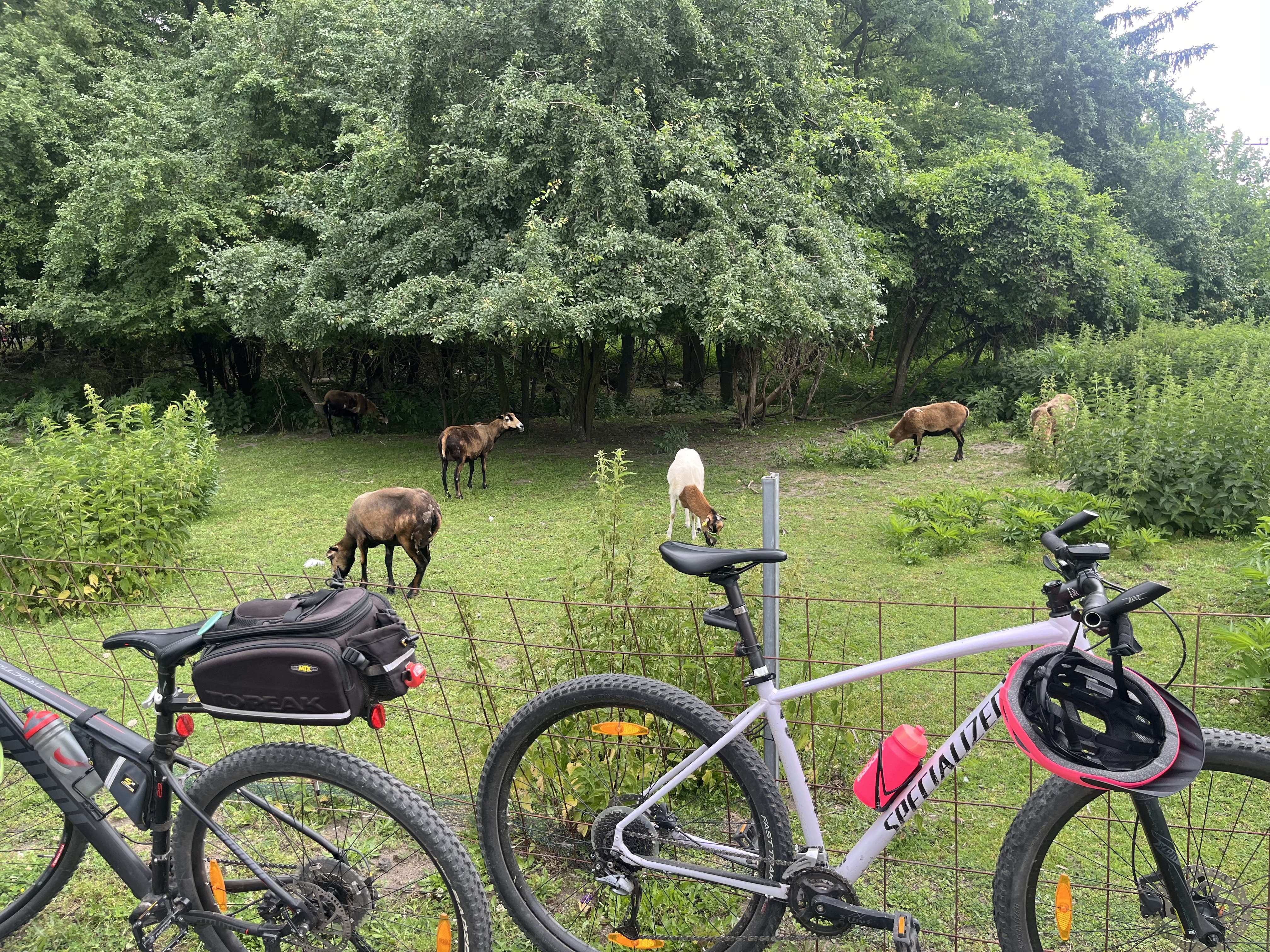 Verdigasse, Poysdorf nach Drasenhofen