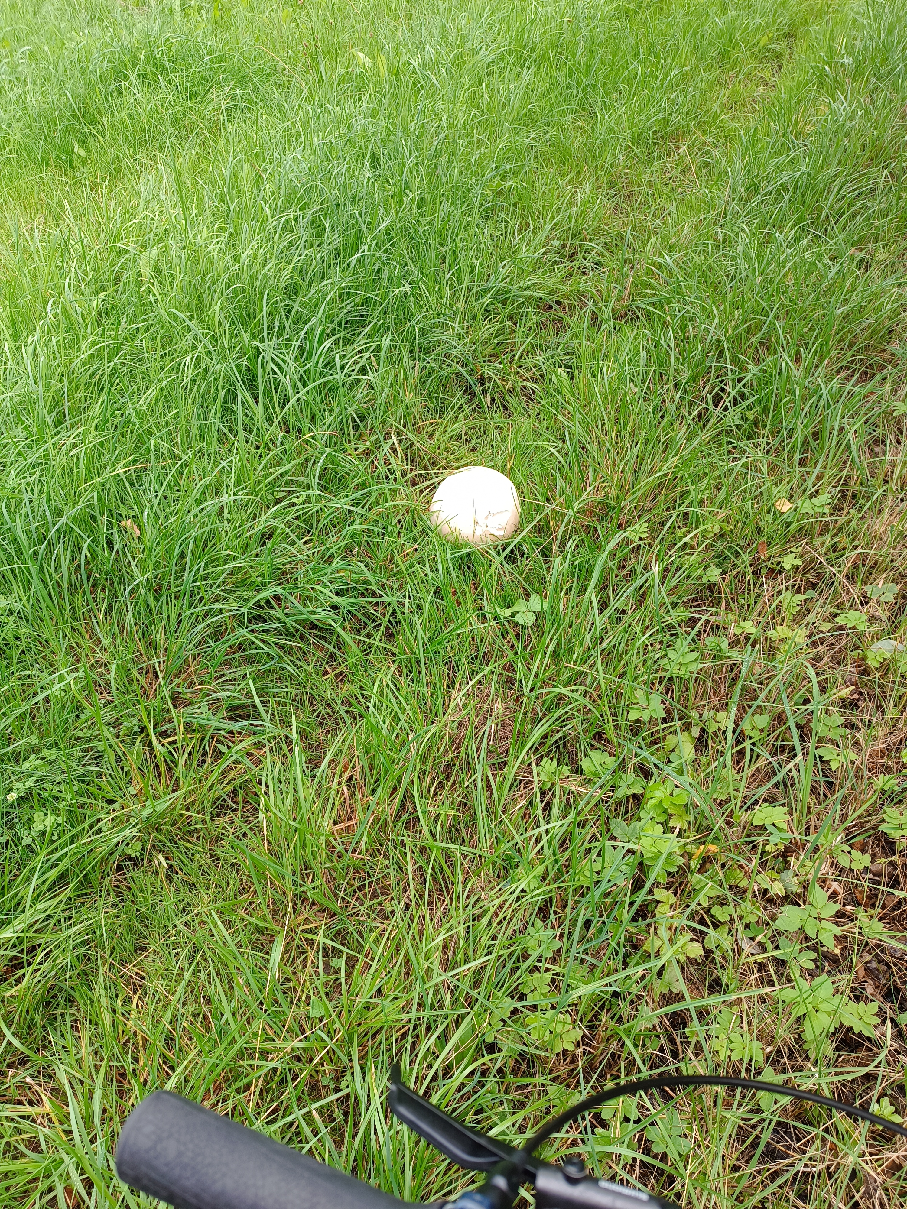 rund um Oberteich
