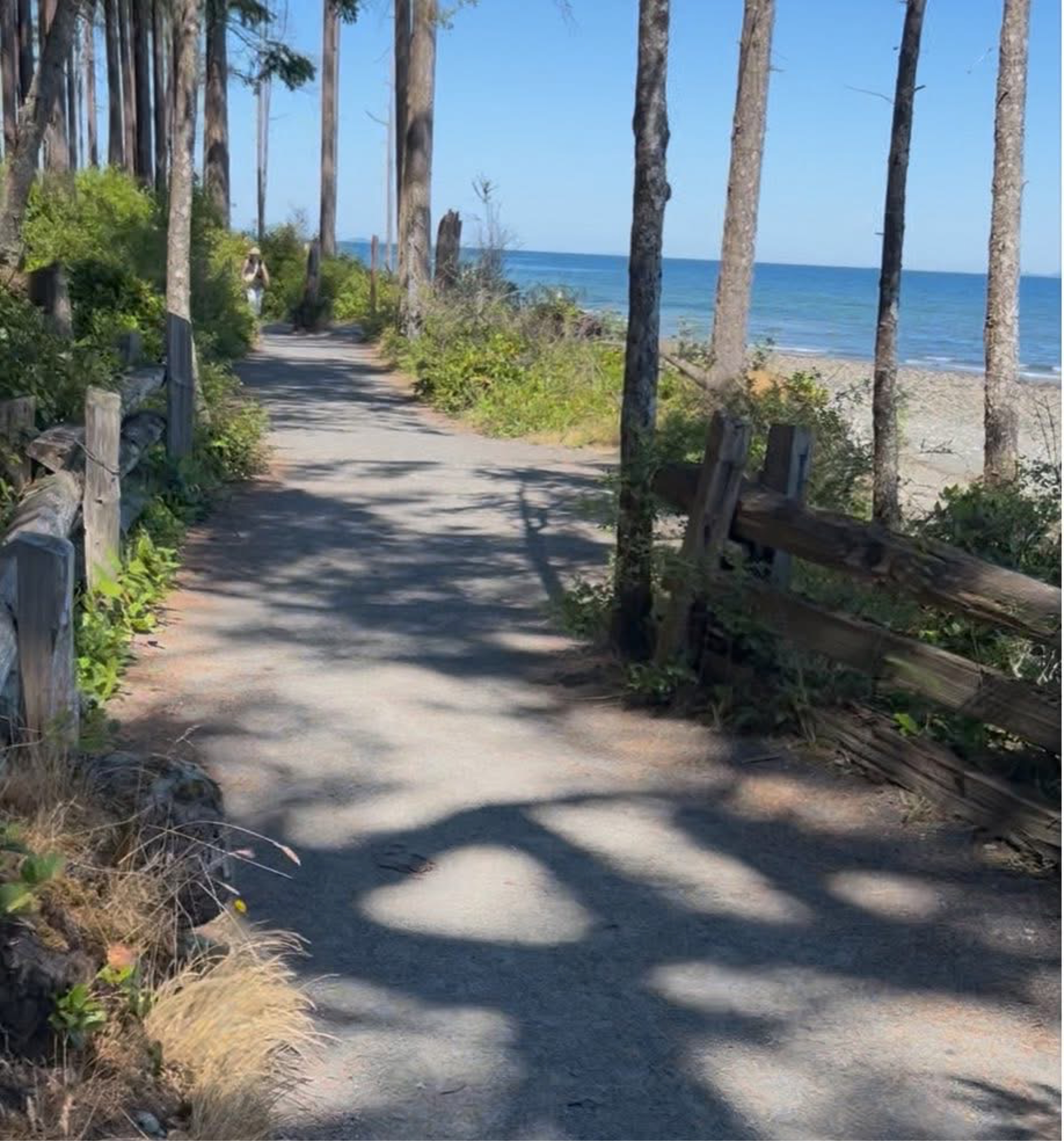 Photo 7 of the Bikemap route "Parksville to Rathtrevor Beach Trail to Parksville"