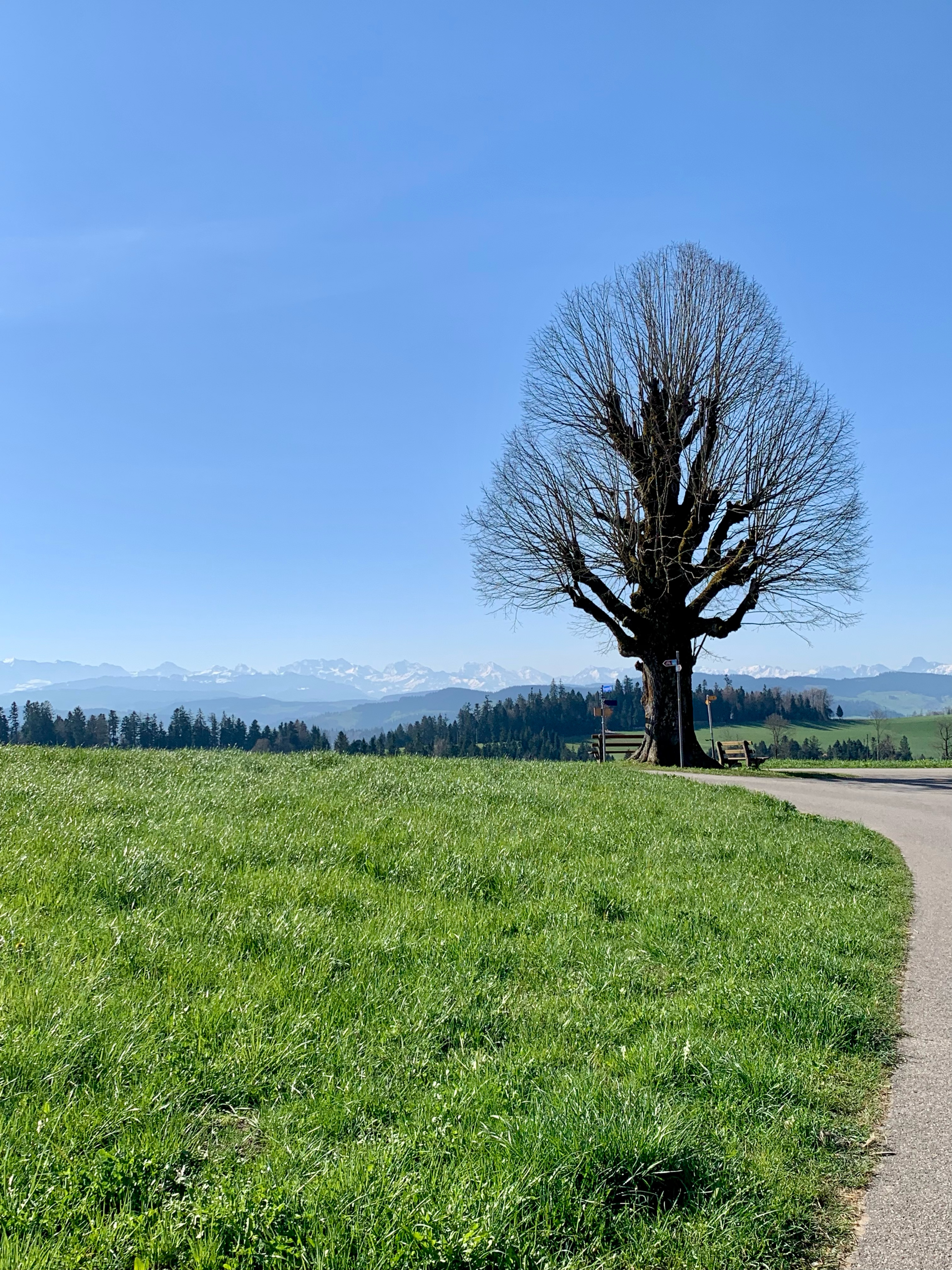 4-Burgdorf-Willisau-65km-1190Hm
