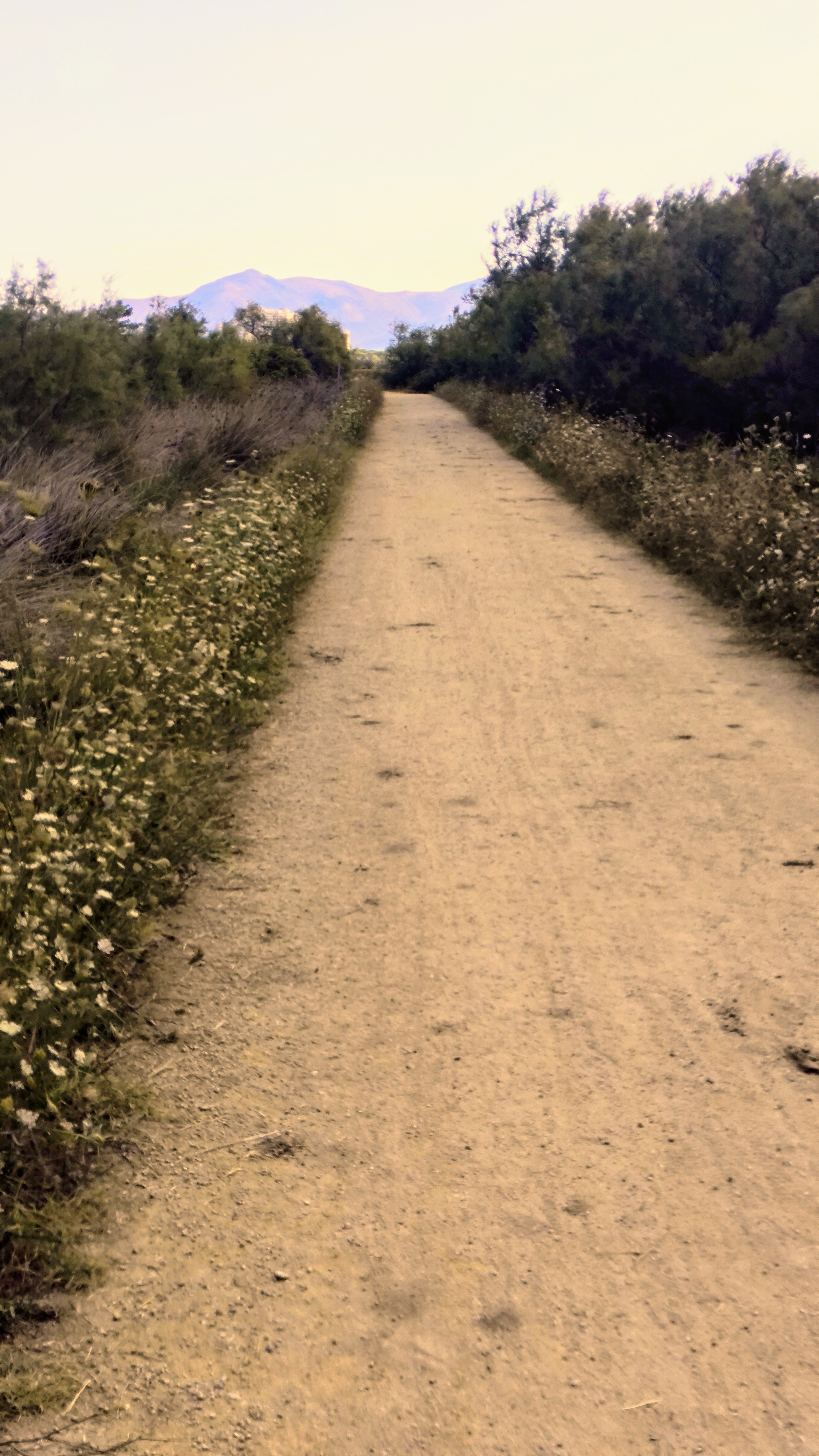 17 AIGUAMOLLS Roses Pont-Da-Vinci Castelló Ermita-de-St-Antoni Cortalets Aguait dels Capons Passera de la Muga Empuriabrava Ciutadella