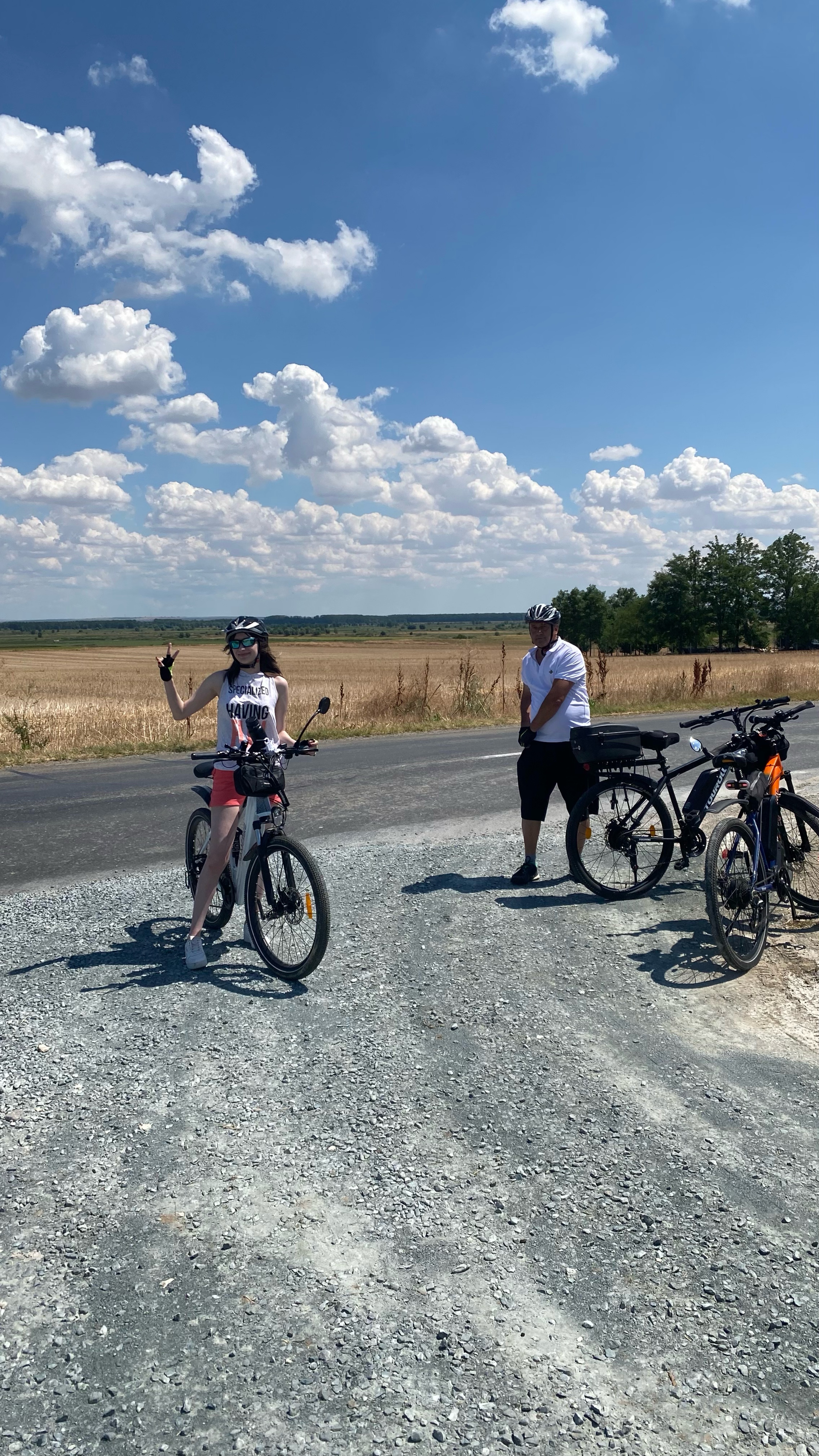 Cegani -Progresul și retur