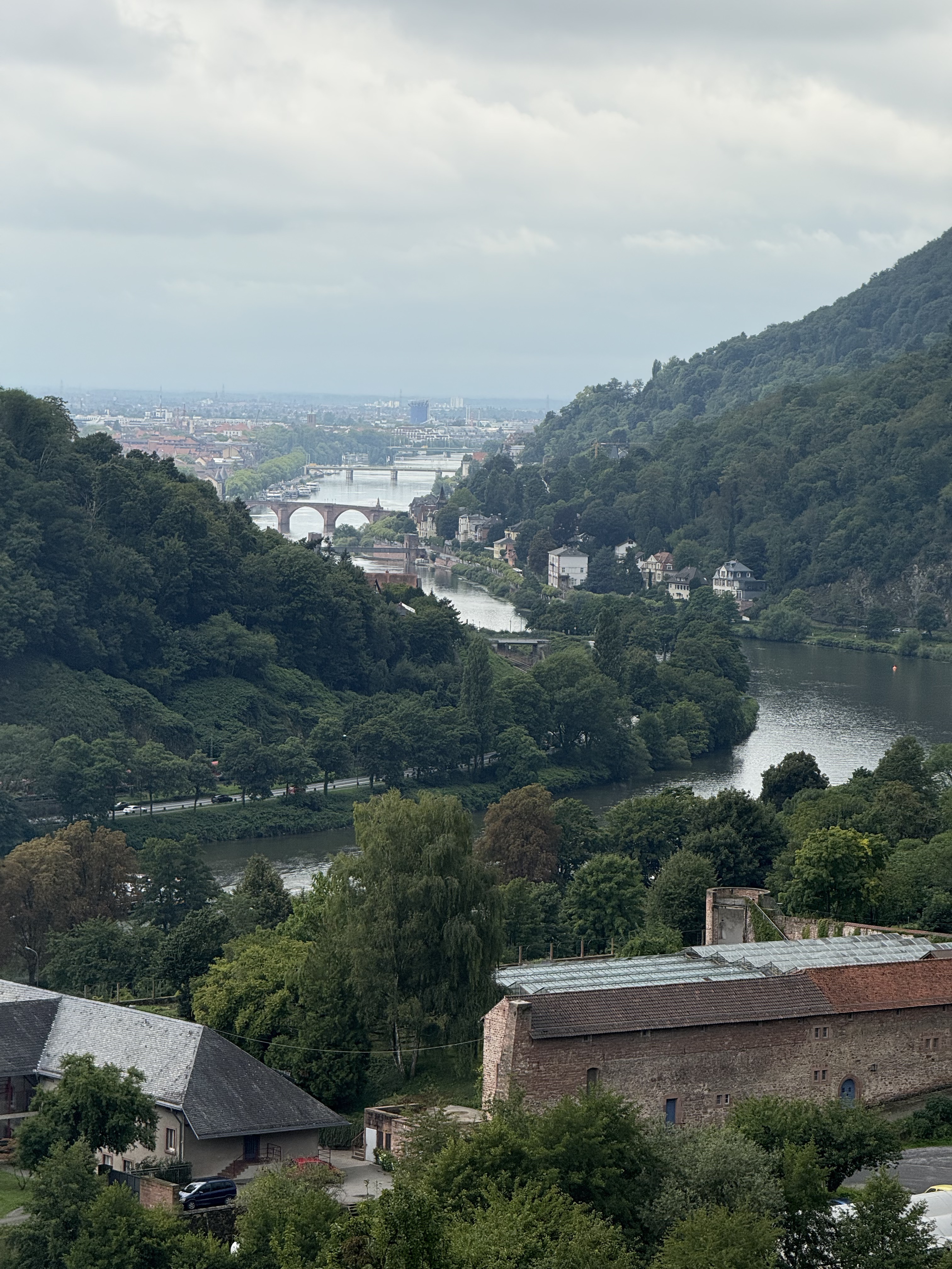 Photo 8 of the Bikemap route "Kurfürsten-Anlage, Heidelberg to Kurfürsten-Anlage, Heidelberg"