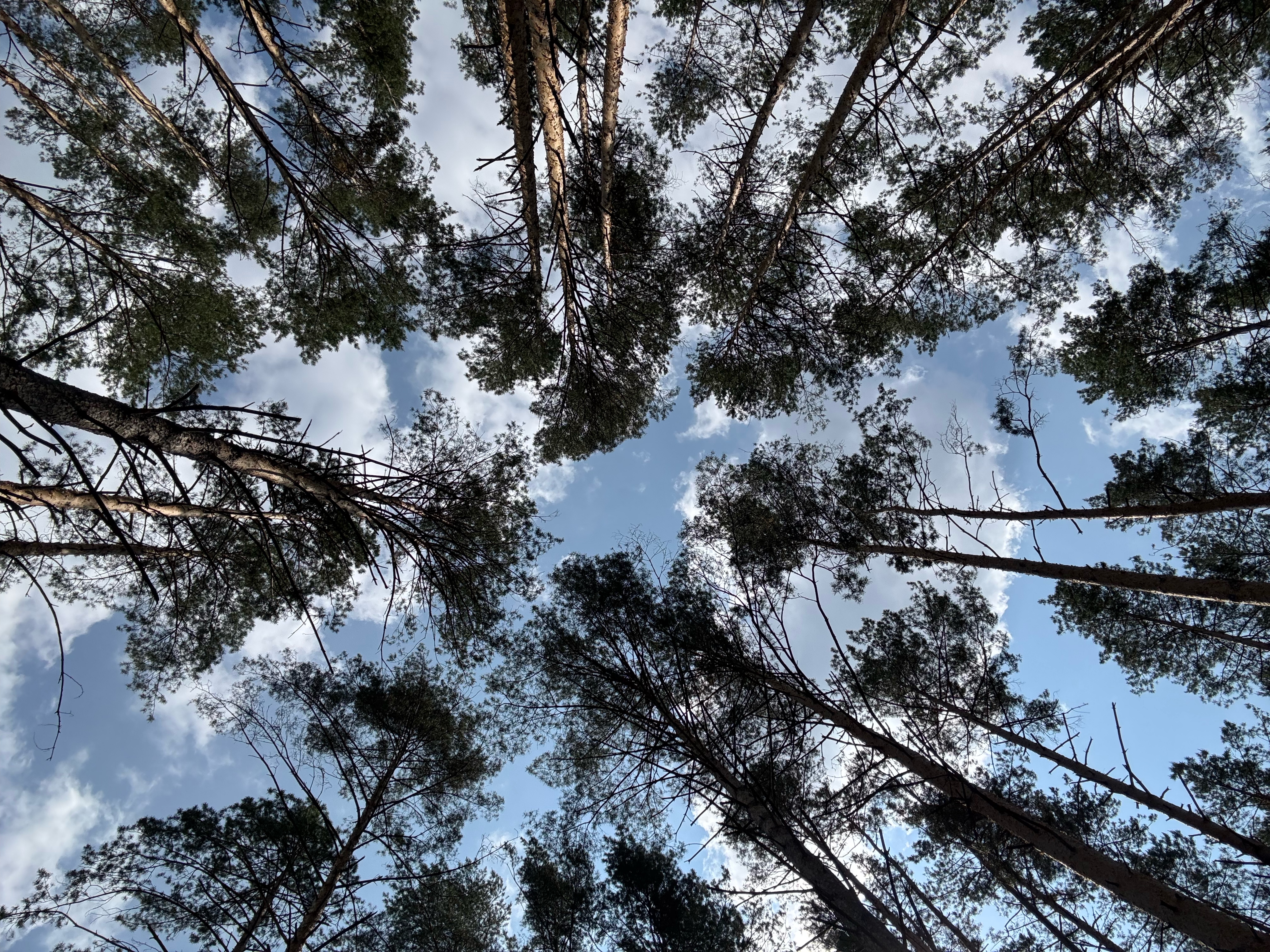 улица Каменщикова, Гомель до Привокзальная улица, Гомель