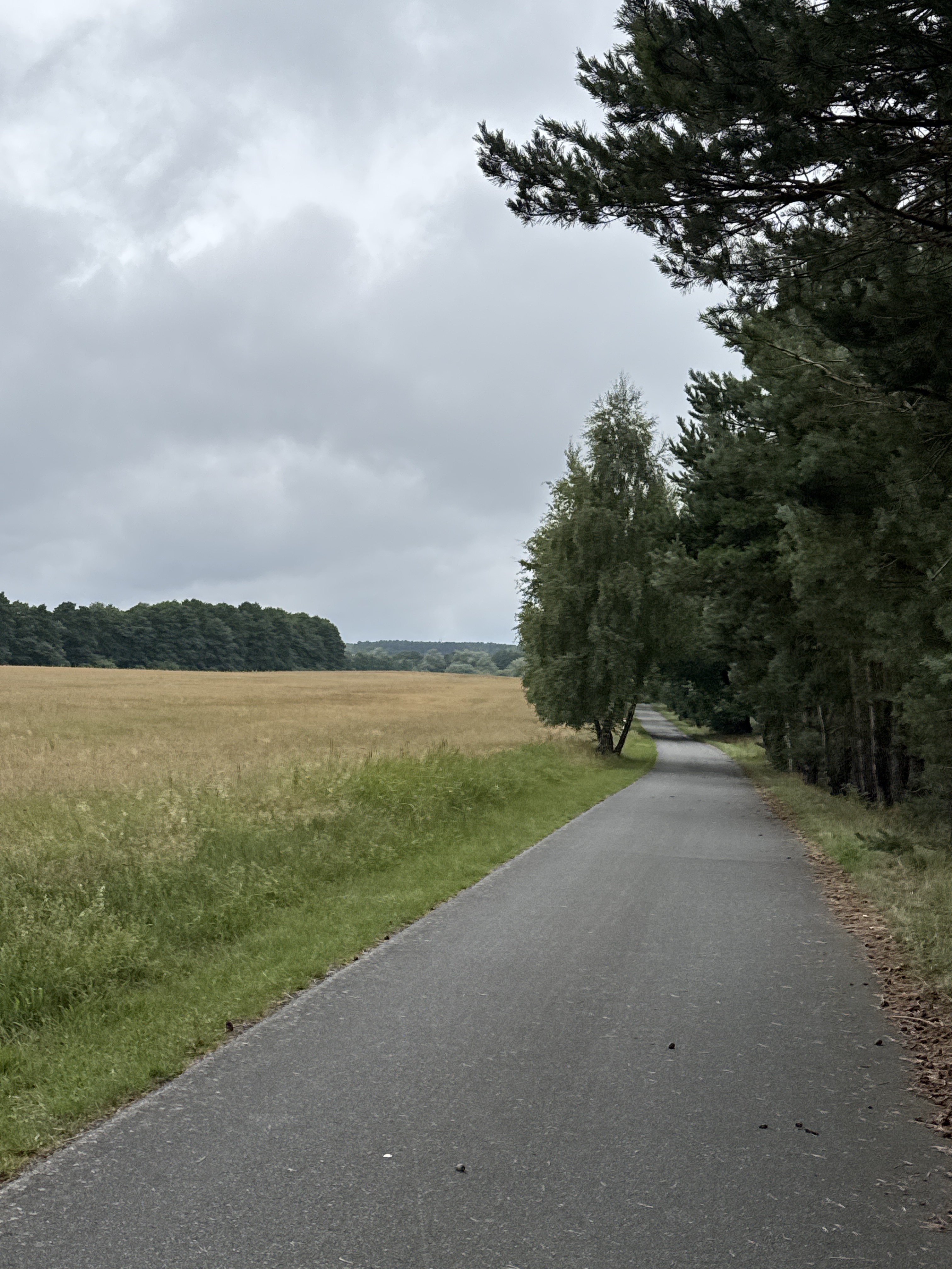 Foto 7 del percorso Bikemap "Schloßstraße, Klink nach Schloßstraße, Klink" Foto 7 del percorso Bikemap "Schloßstraße, Klink nach Schloßstraße, Klink"