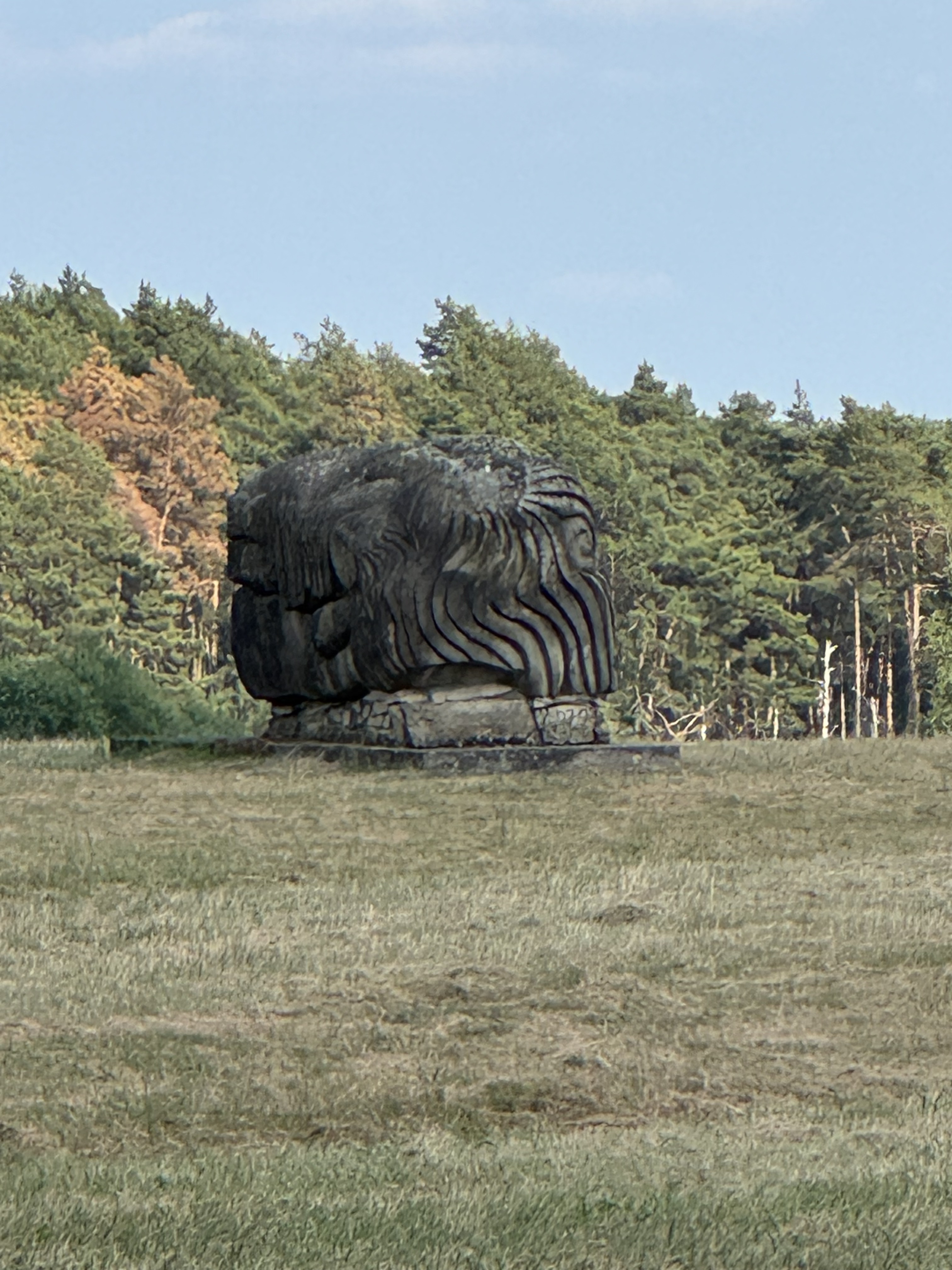Photo 8 de l’itinéraire Bikemap « Jüdenstraße, Lutherstadt Wittenberg nach Dorfstraße, Niedergörsdorf »