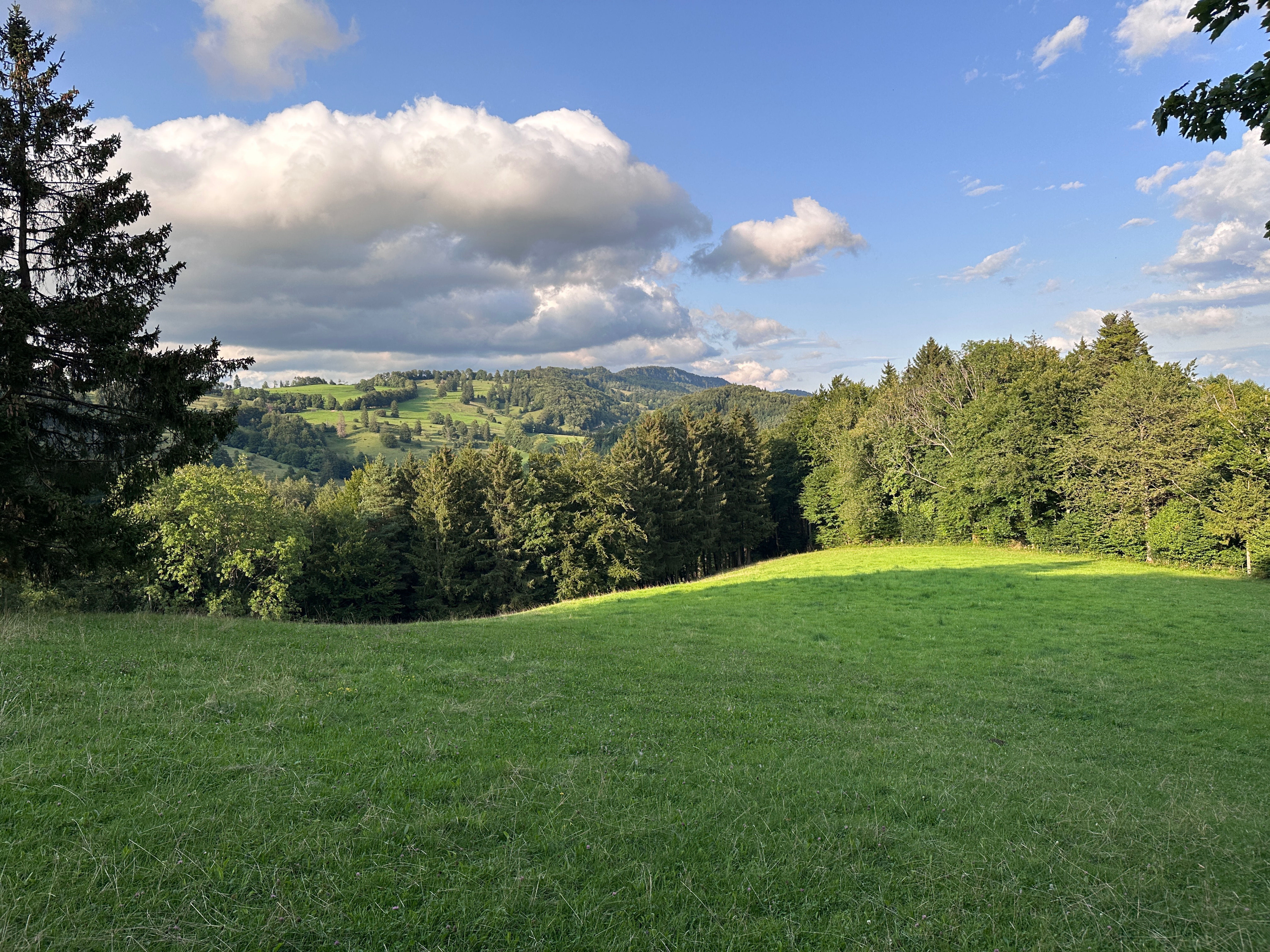 Aegertenweg, Oensingen nach Aegertenweg, Oensingen