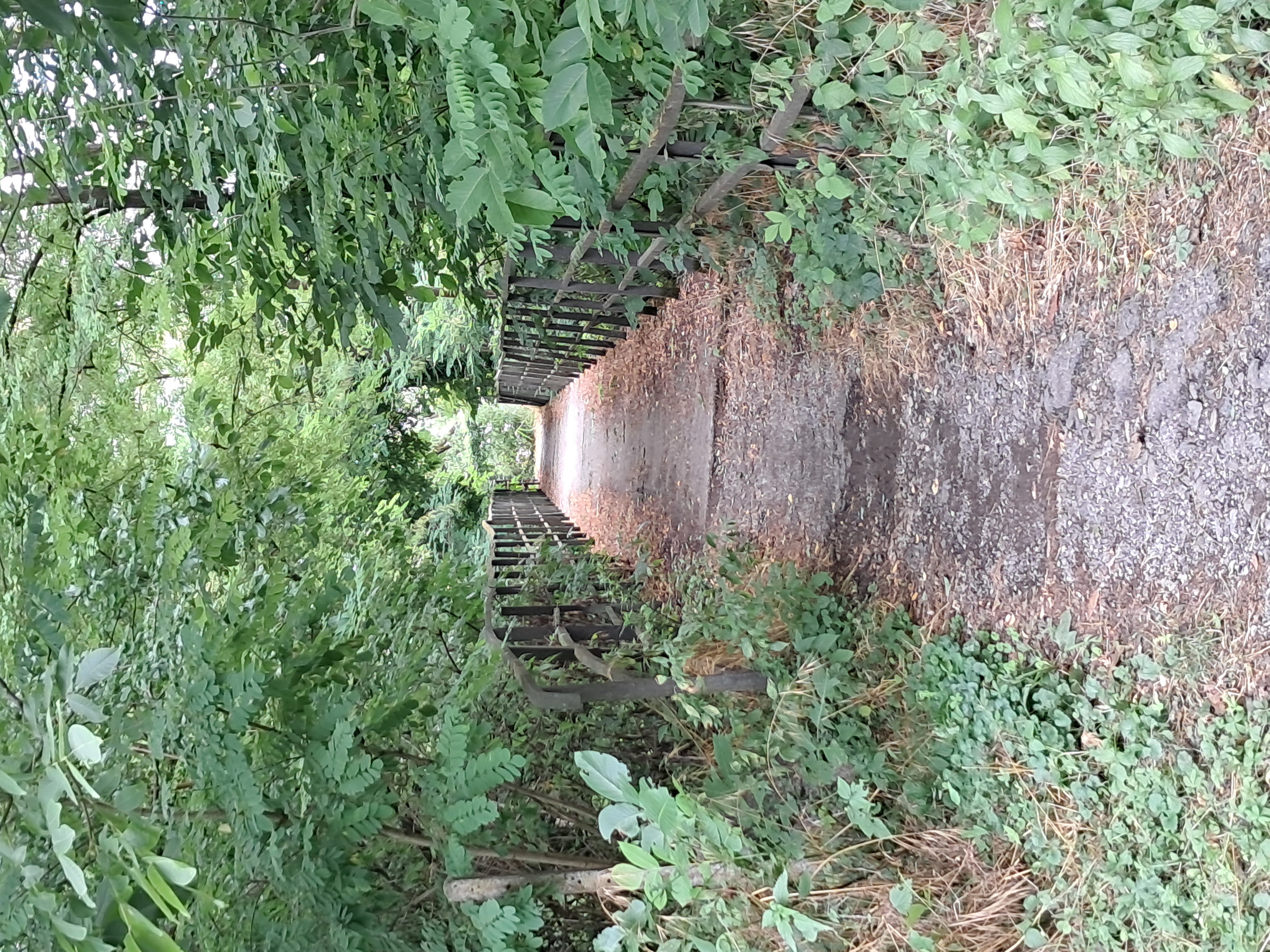 Da Via Aldo Moro a Via Aldo Moro