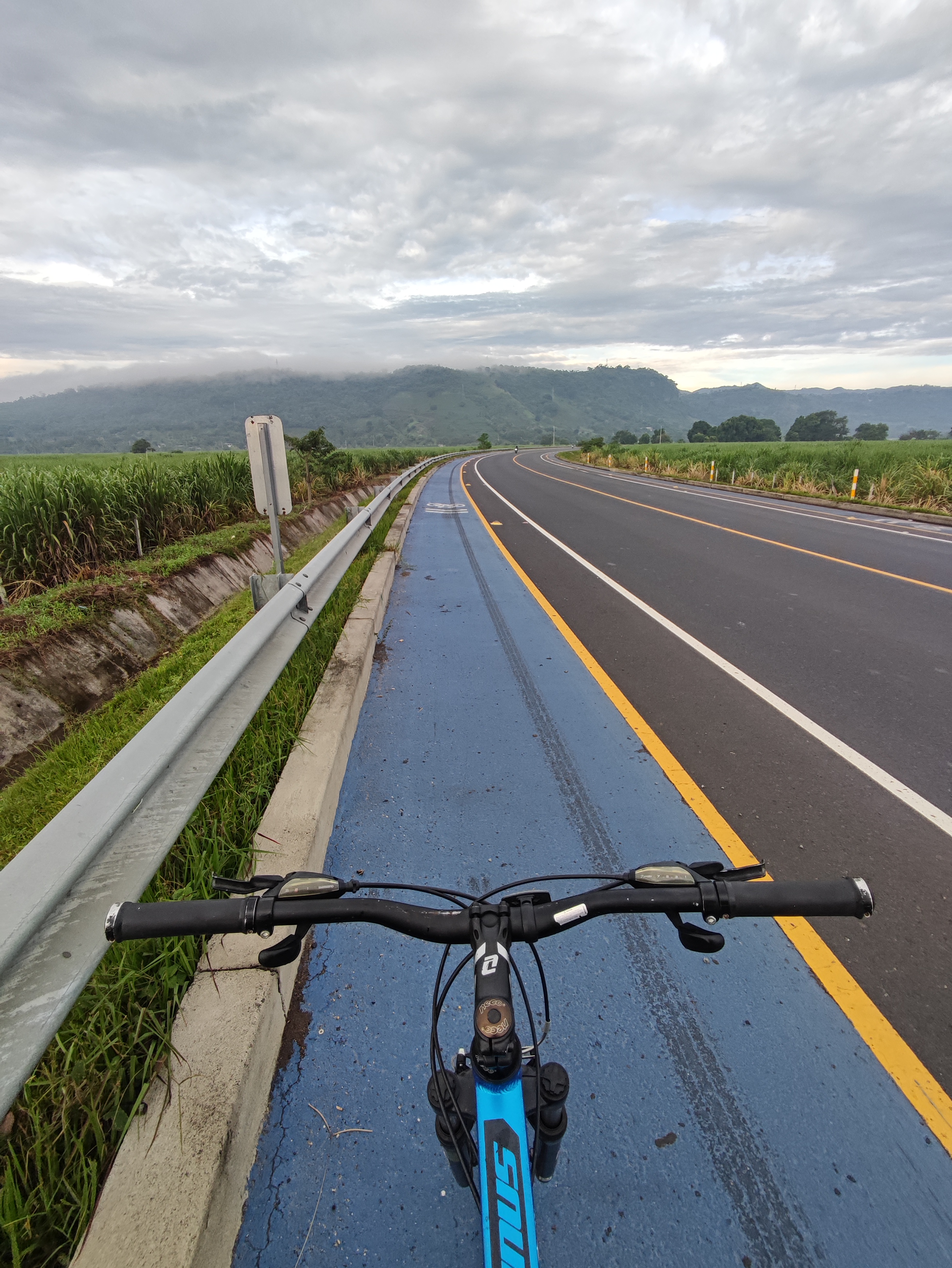 Ruta moderata