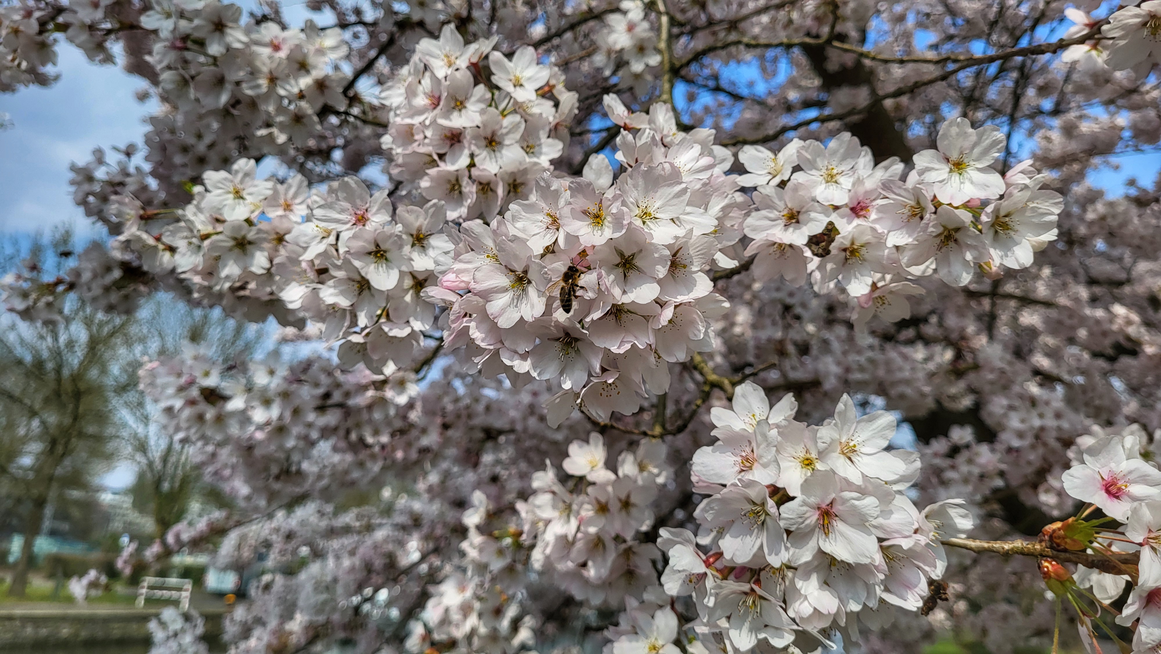 Einkaufsrunde in Mülheim
