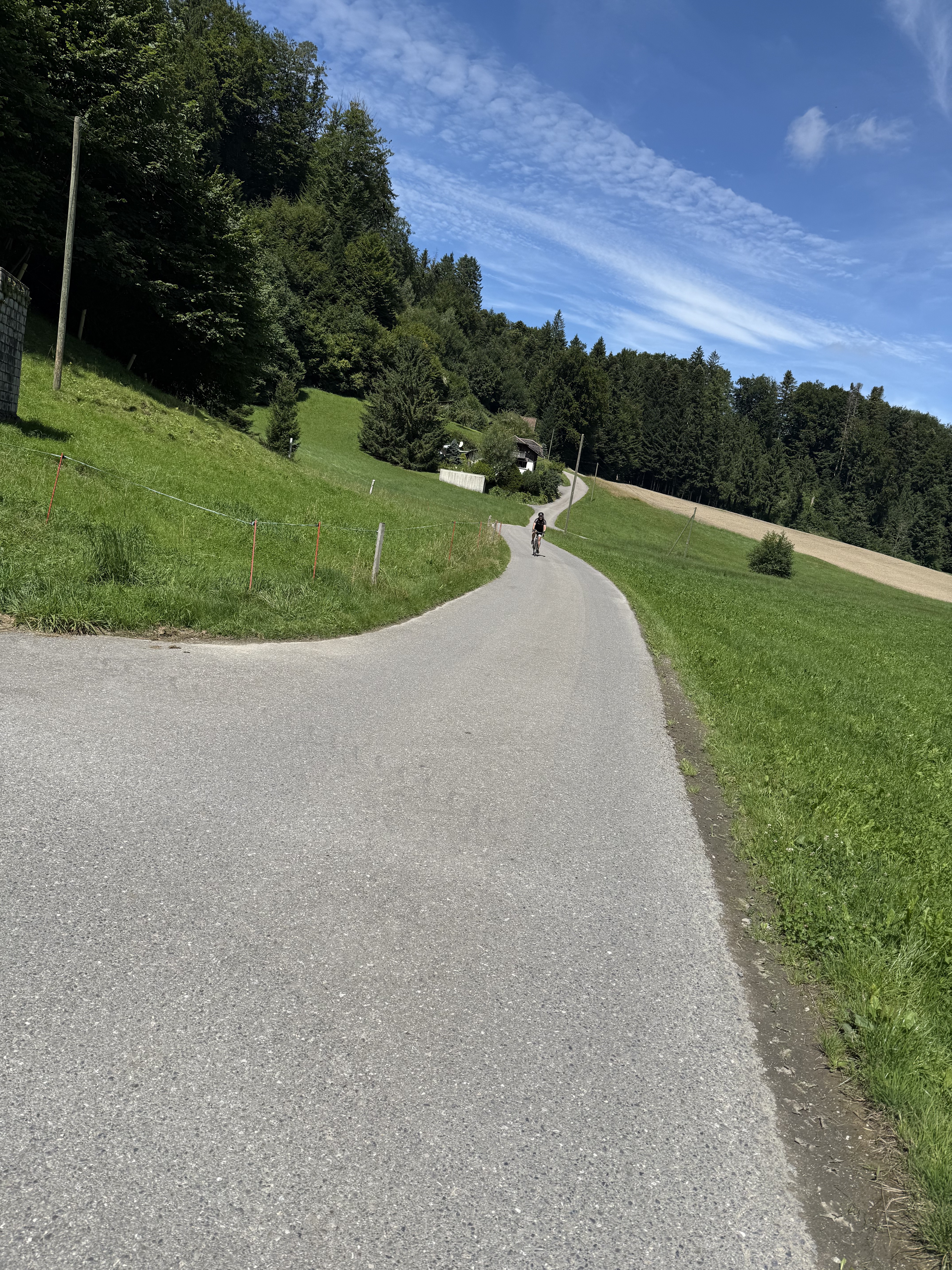 Ried, Schmitten FR nach Gypsera, Schwarzsee