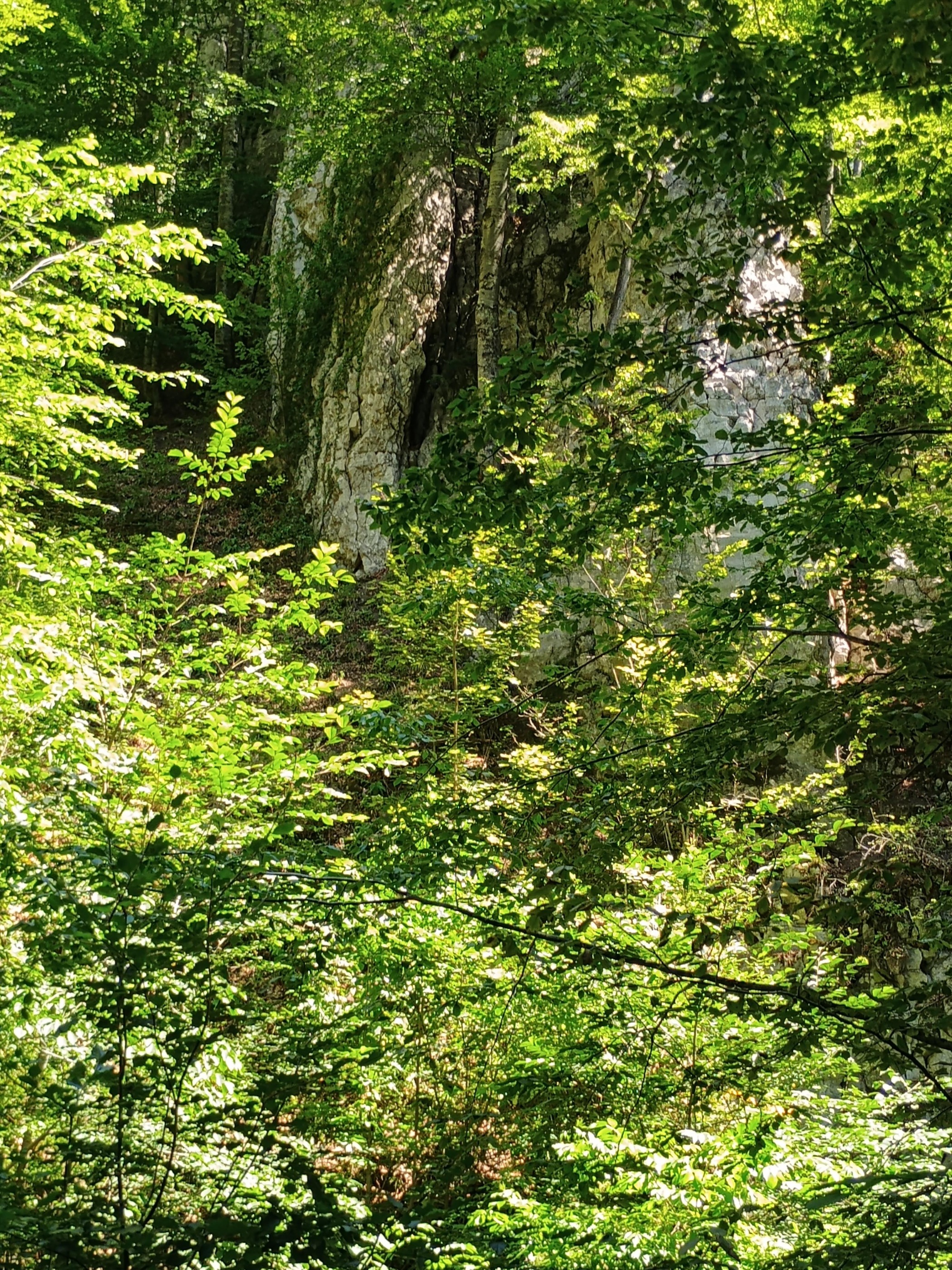 Route in Apața
