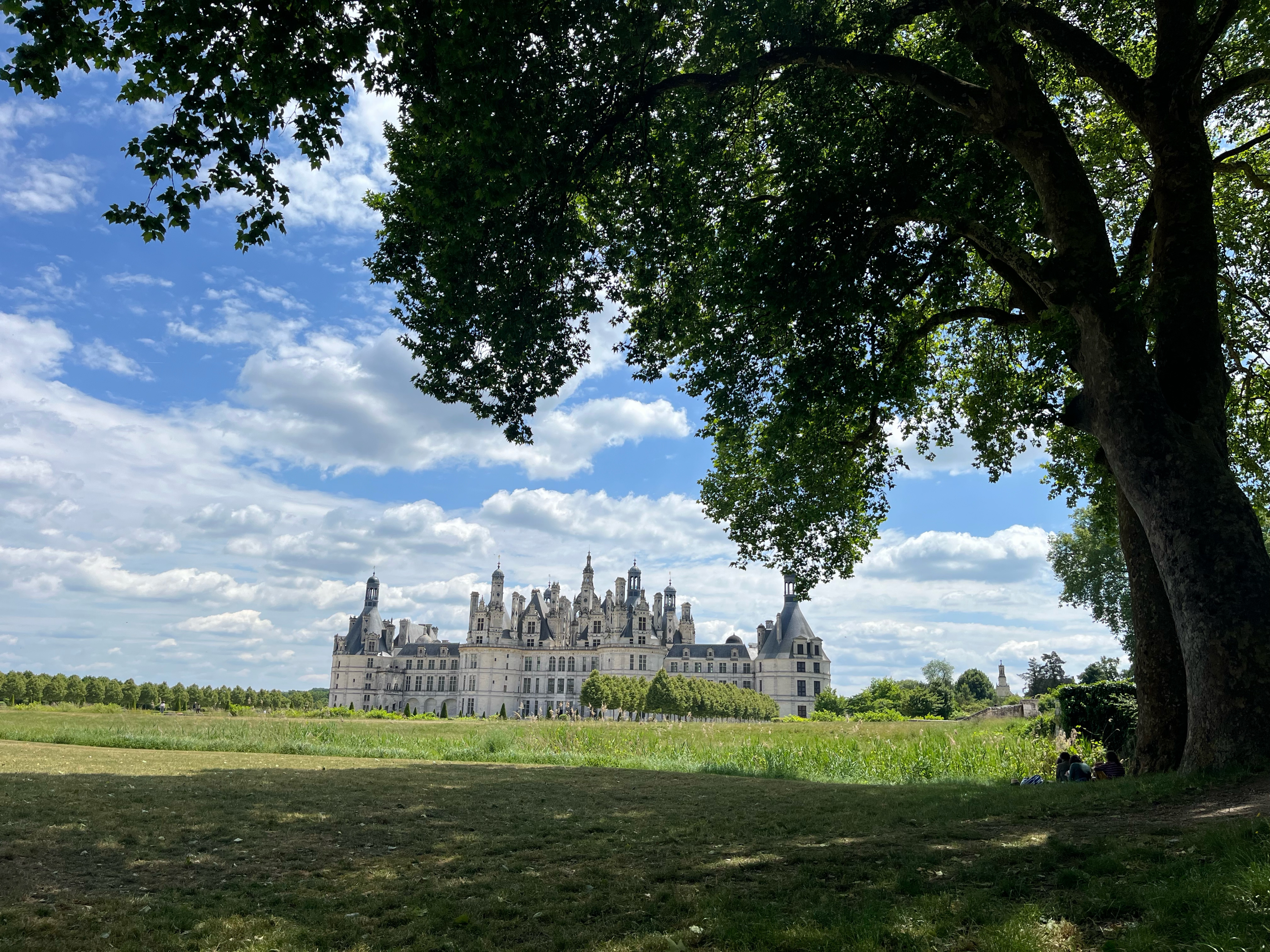 Tura Chambord