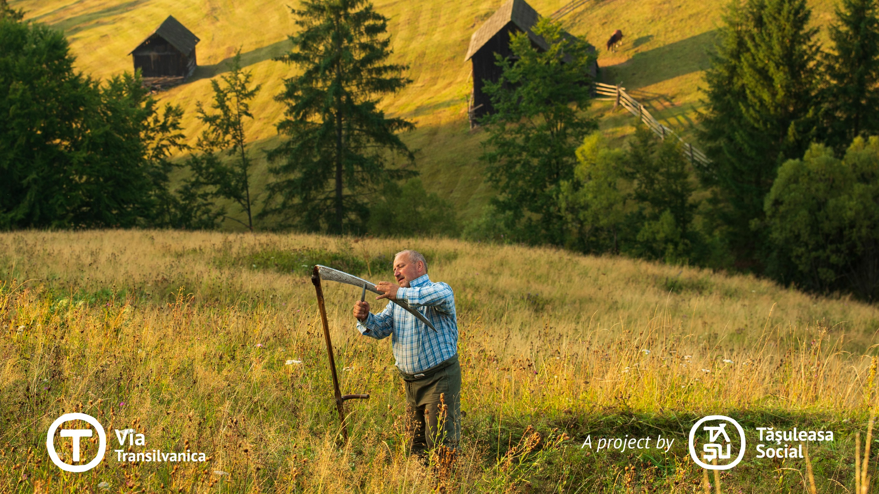 Via Transilvanica, Section 1: Bucovina (official)