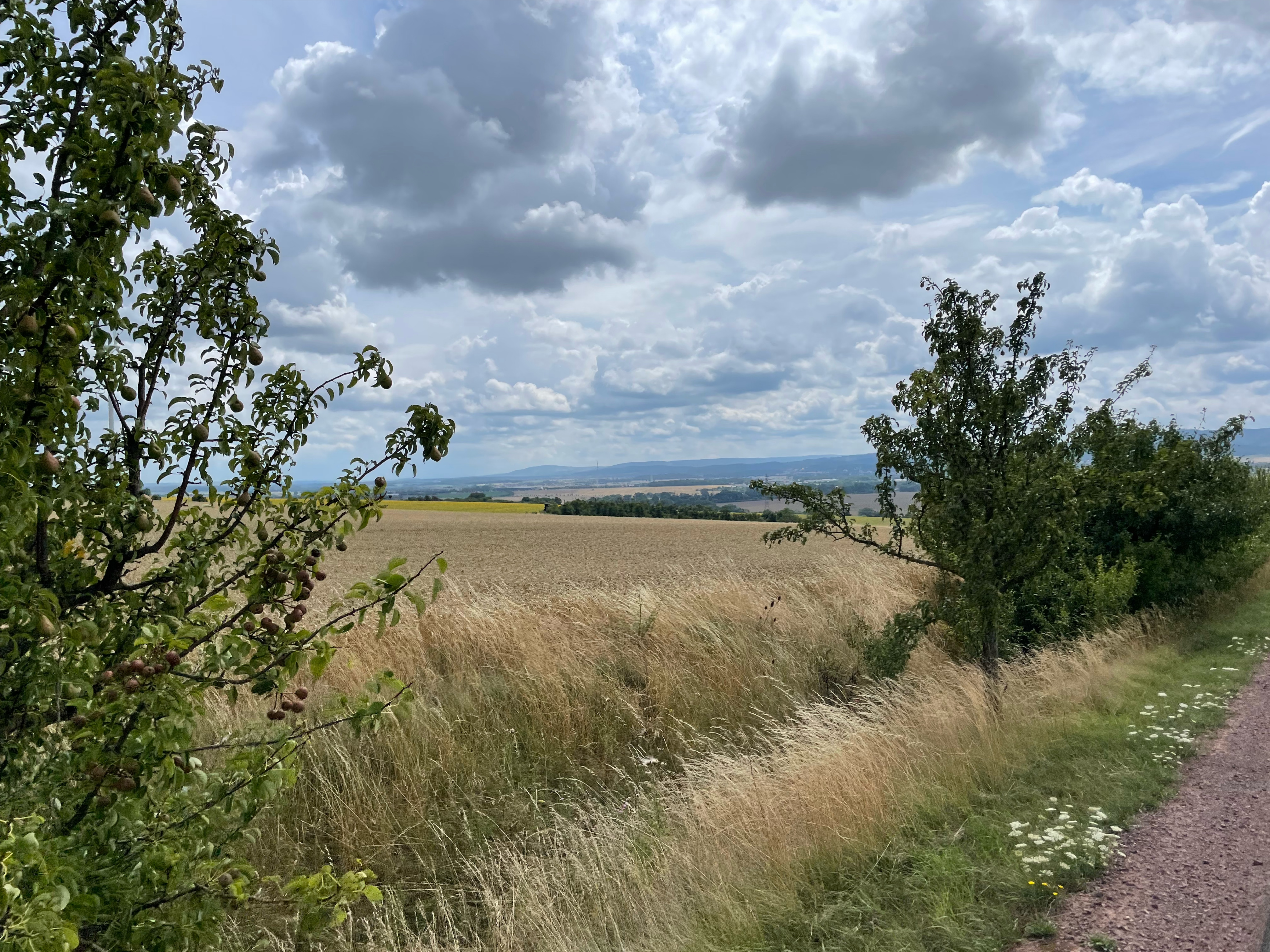 Mit der Apple Watch am 27. Juli, 14:59 aufgenommen