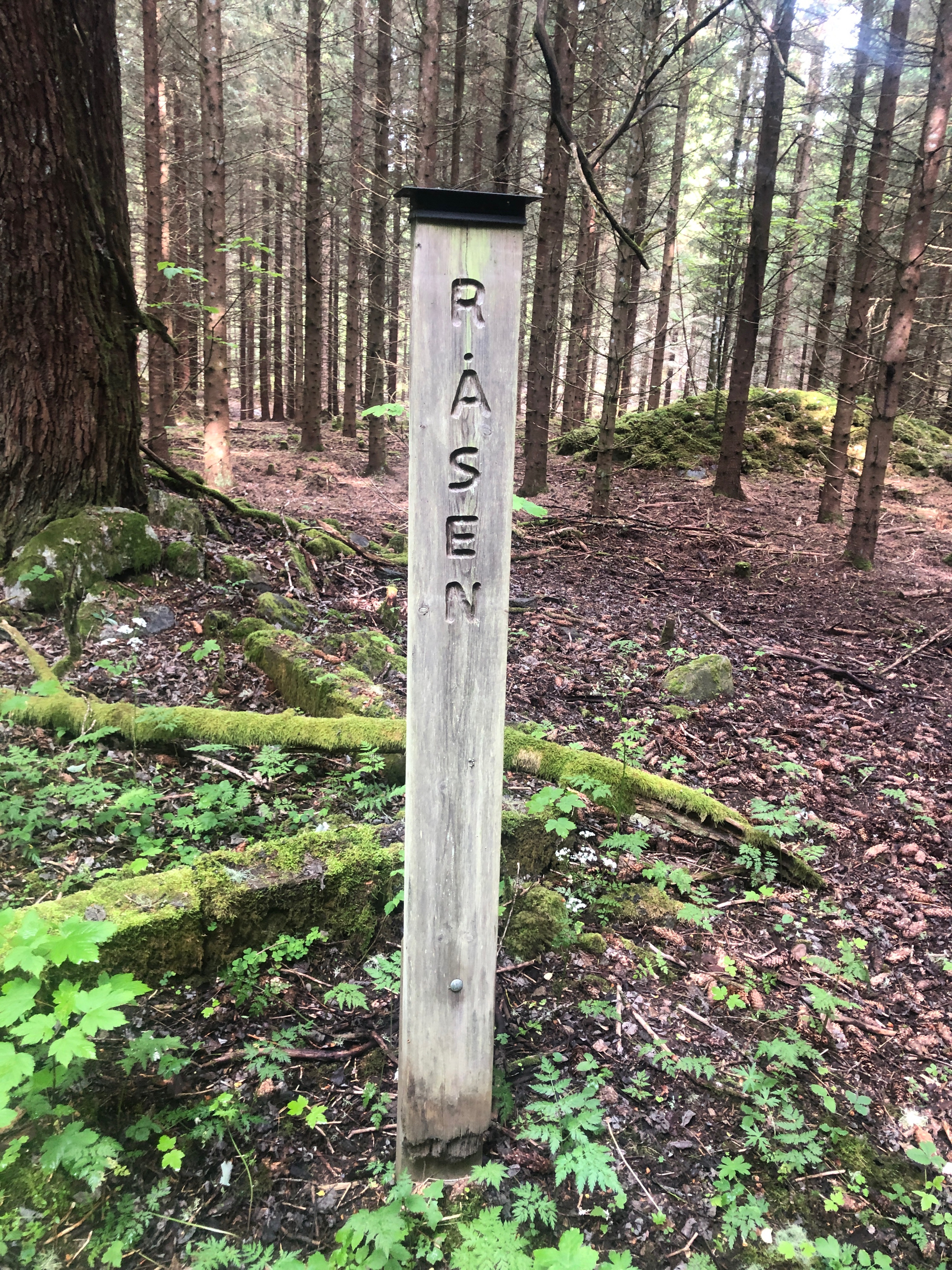 CYKEL-TRIM 2025, Vrigstad