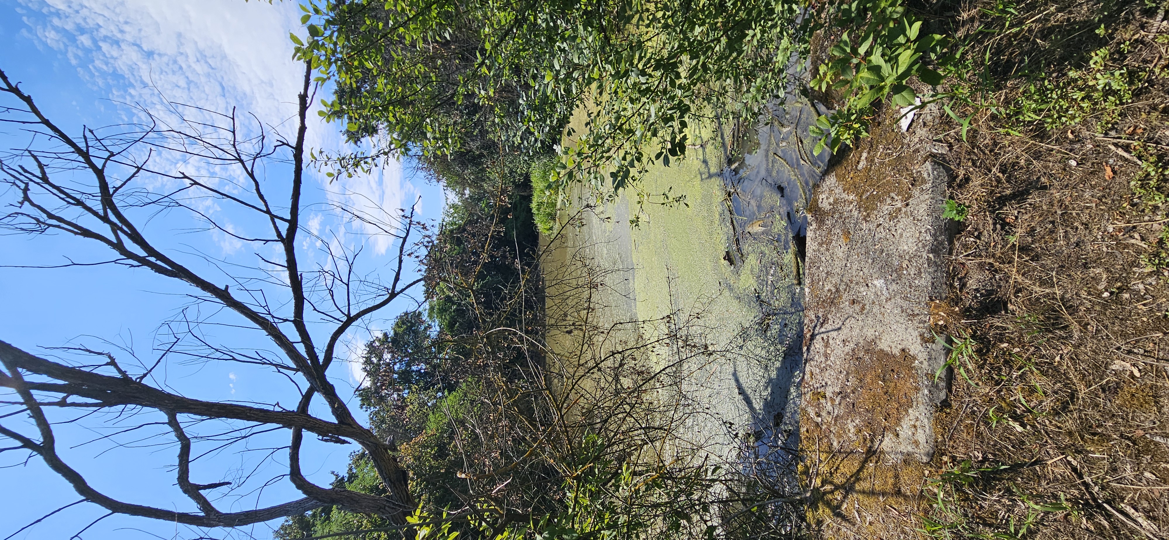 Foto 8 der Bikemap-Route "Vozokany-Č.Voda-Č.Brod-Sládkovičovo-GA Hody-Váhovce-Kaskády-Šaľa-Diakovce-Matúškovo-Mostová-Č.Voda-Vozokany" Foto 8 der Bikemap-Route "Vozokany-Č.Voda-Č.Brod-Sládkovičovo-GA Hody-Váhovce-Kaskády-Šaľa-Diakovce-Matúškovo-Mostová-Č.Voda-Vozokany"