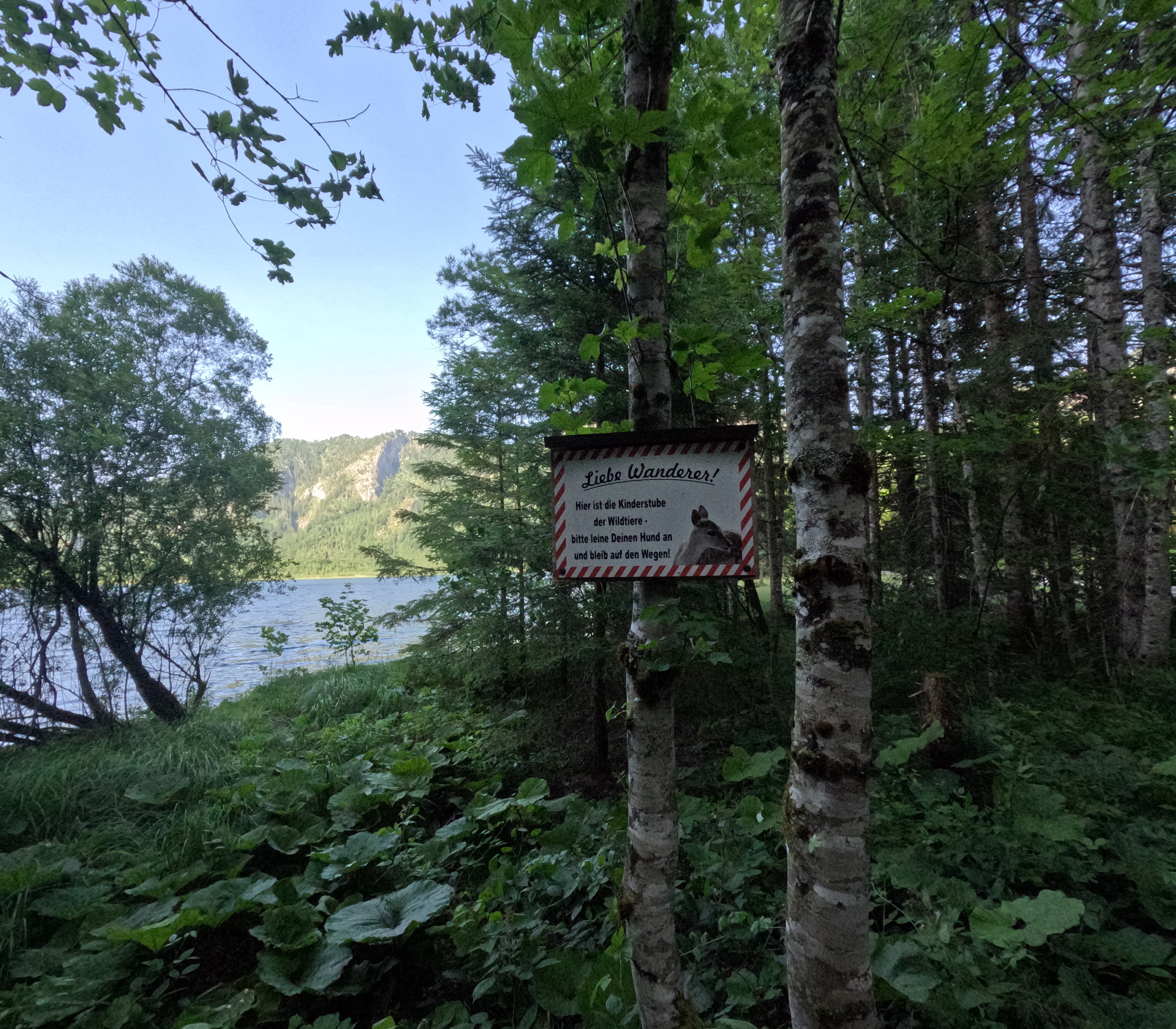 Photo 6 of the Bikemap route "Ebensee - Langbathsee - Offensee. π΄ββοΈπ΄" Photo 6 of the Bikemap route "Ebensee - Langbathsee - Offensee. π΄ββοΈπ΄"