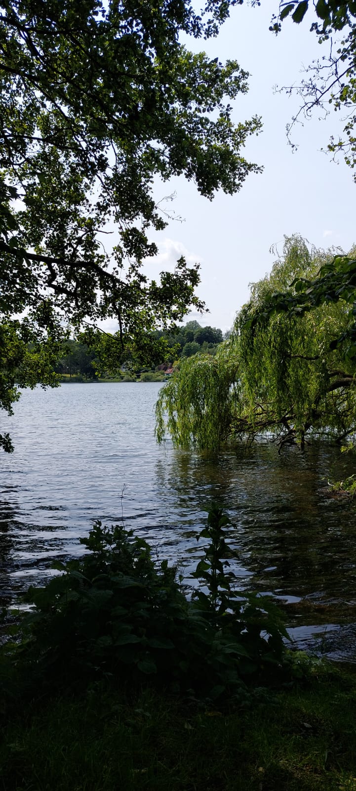 Bosau-Eutiner Schloss-Malente-Bosau