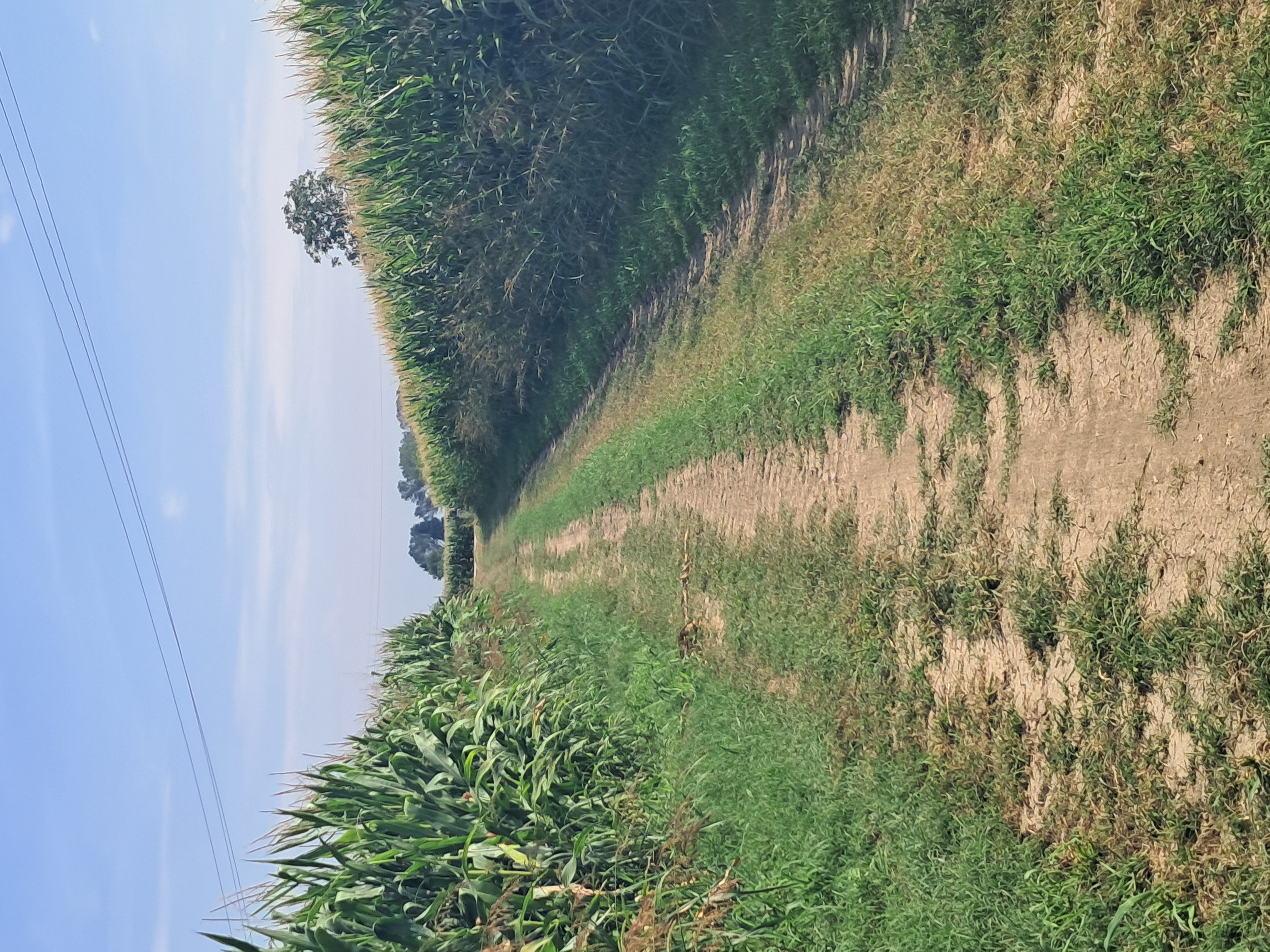Da via Della Concordia a Via Giuseppe Mazzini