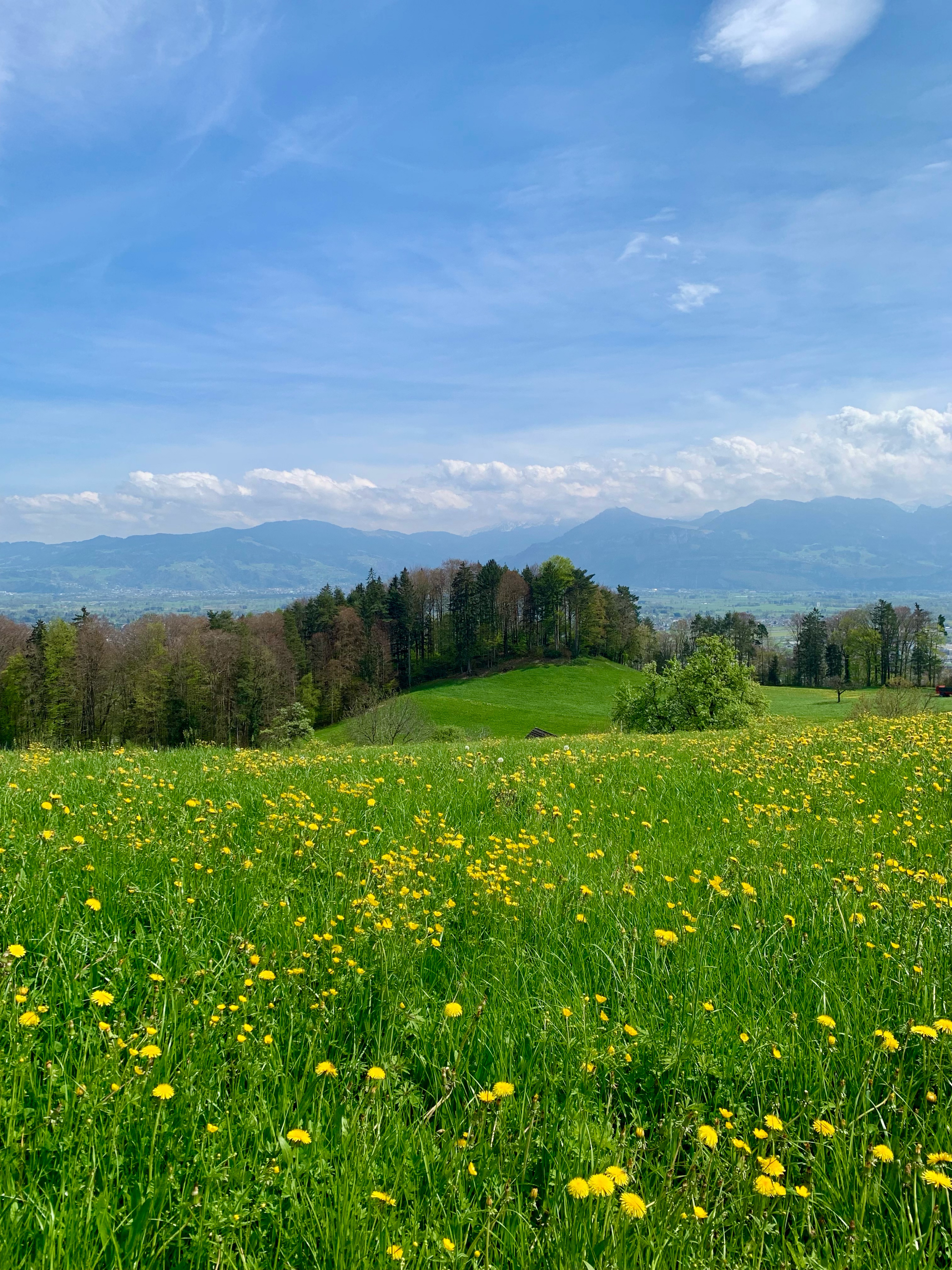 9-Appenzell-Romanshorn-76km-1370Hm 001