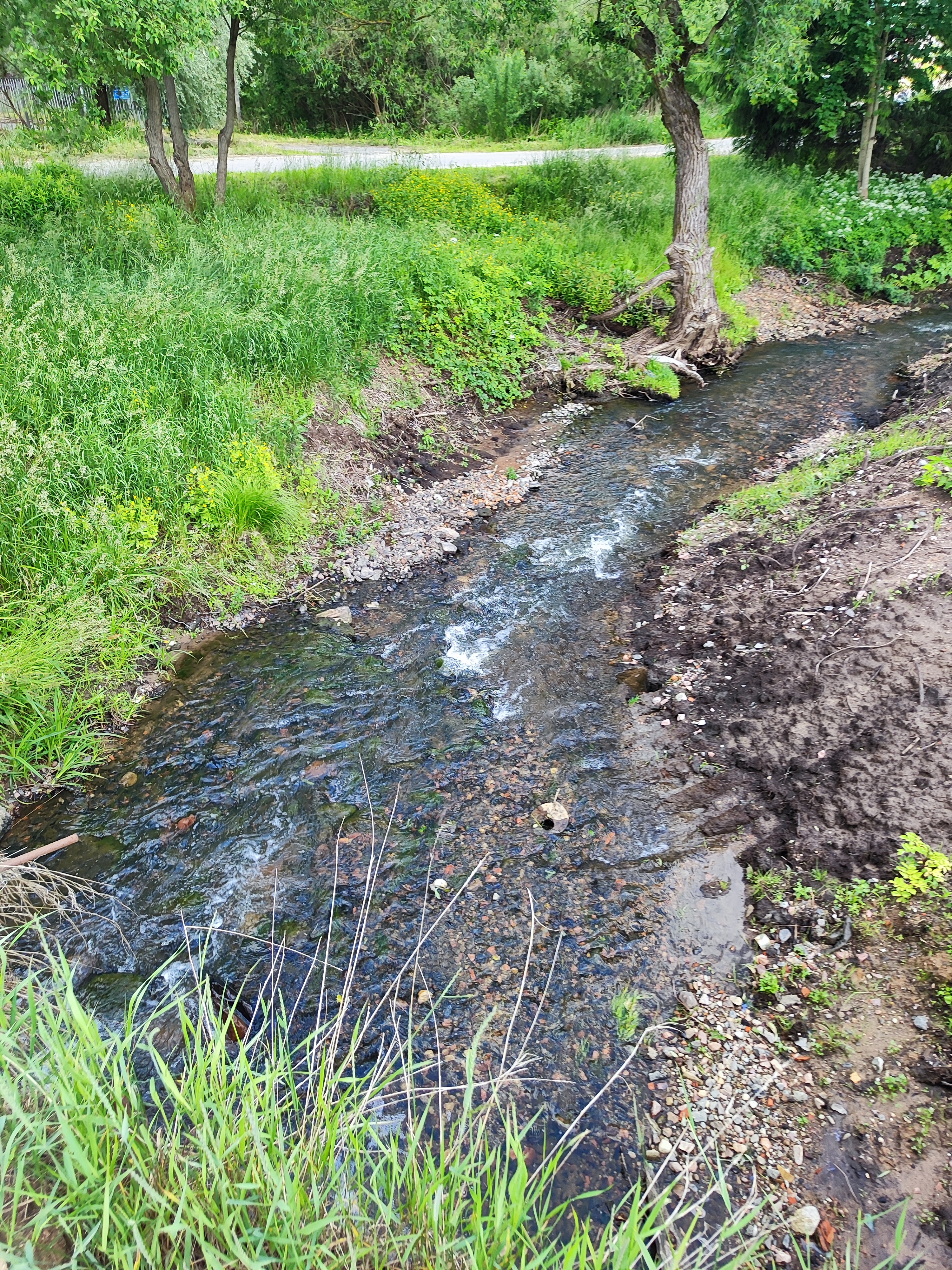 Π£ΠΌΠ΅ΡΠ΅Π½Π½ΡΠΉ ΠΌΠ°ΡΡΡΡΡ