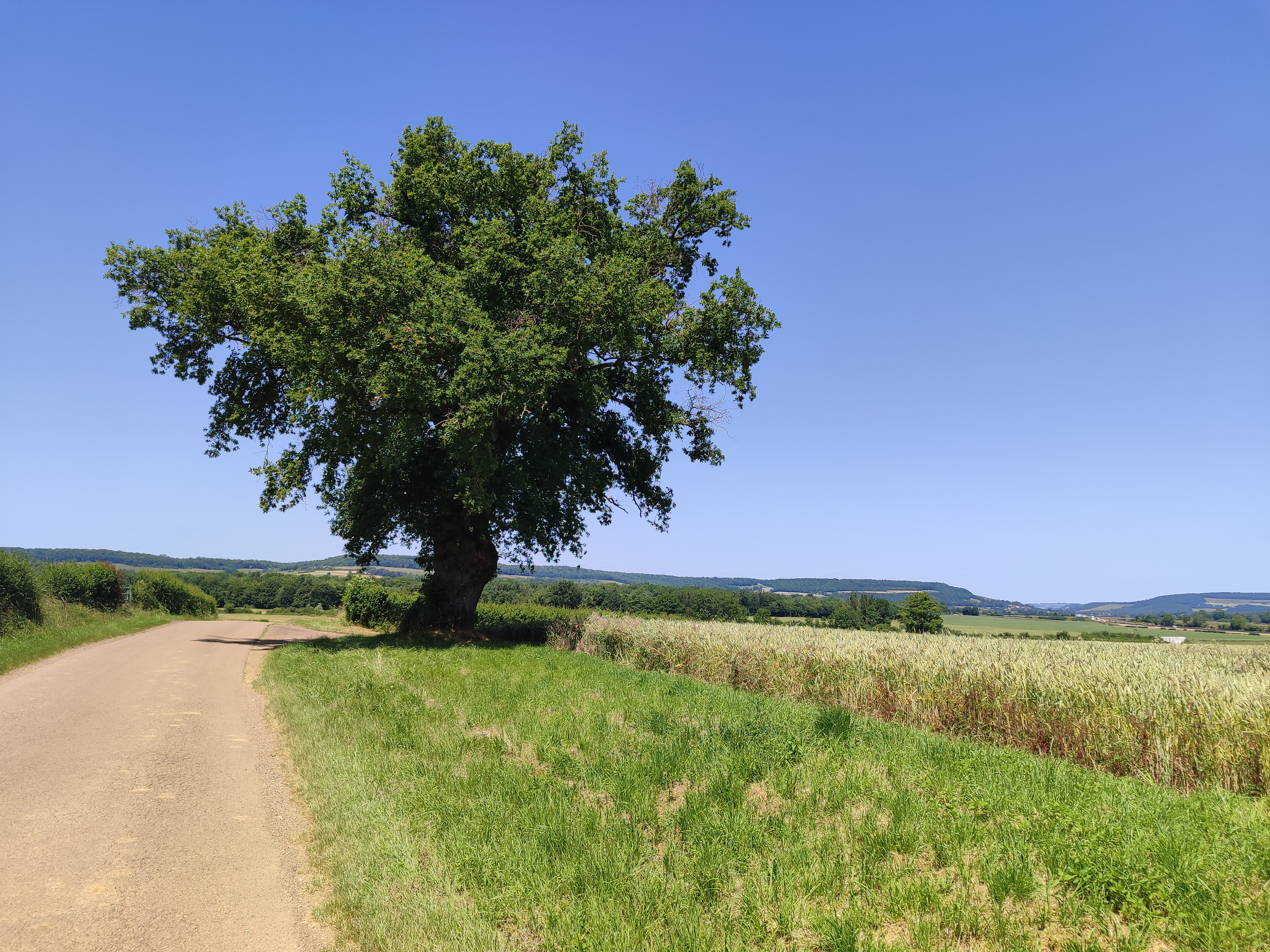 Foto 7 der Bikemap-Route "Pouilly-en-Auxois erste Fahrt"