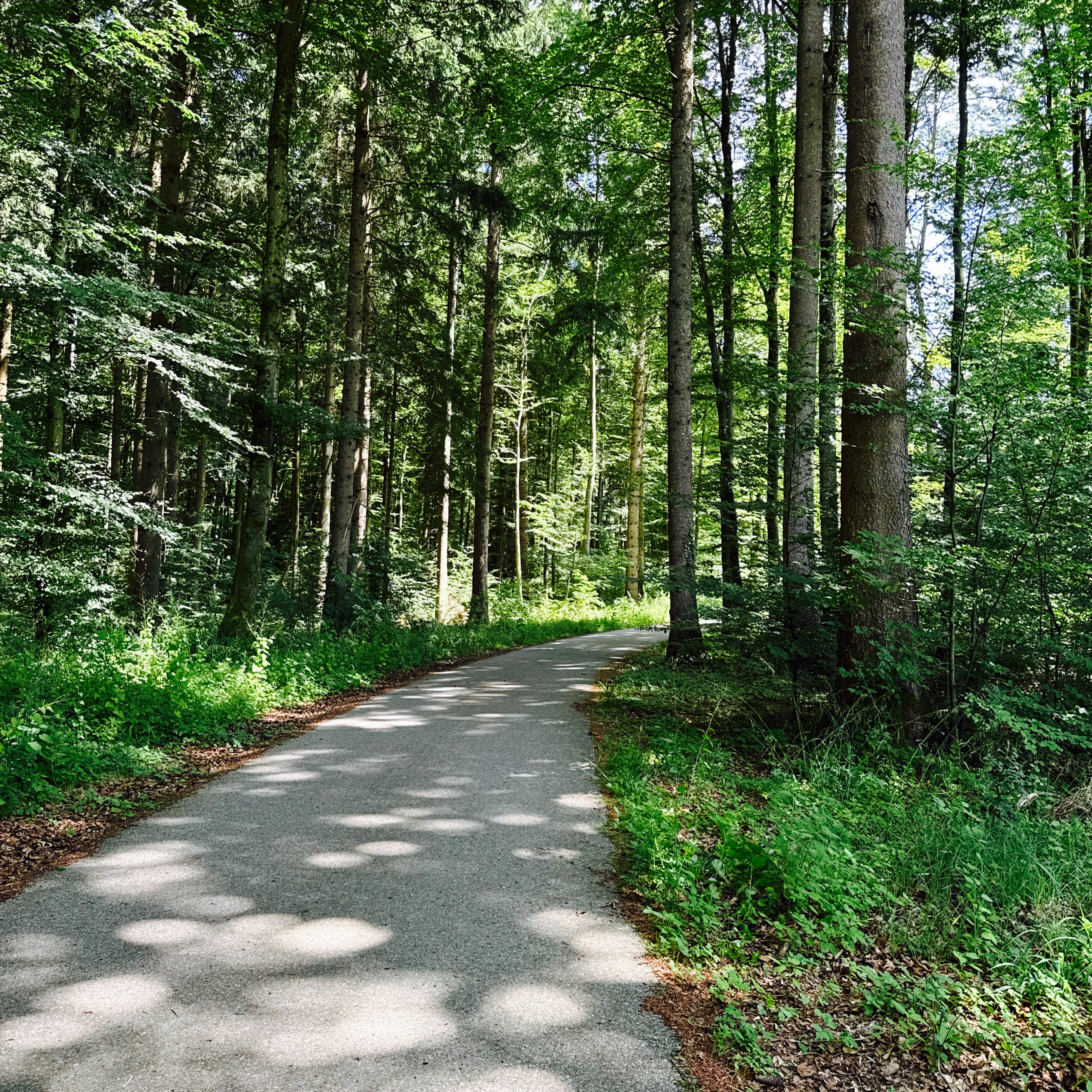 Erkenbrechtsweiler nach Ulm