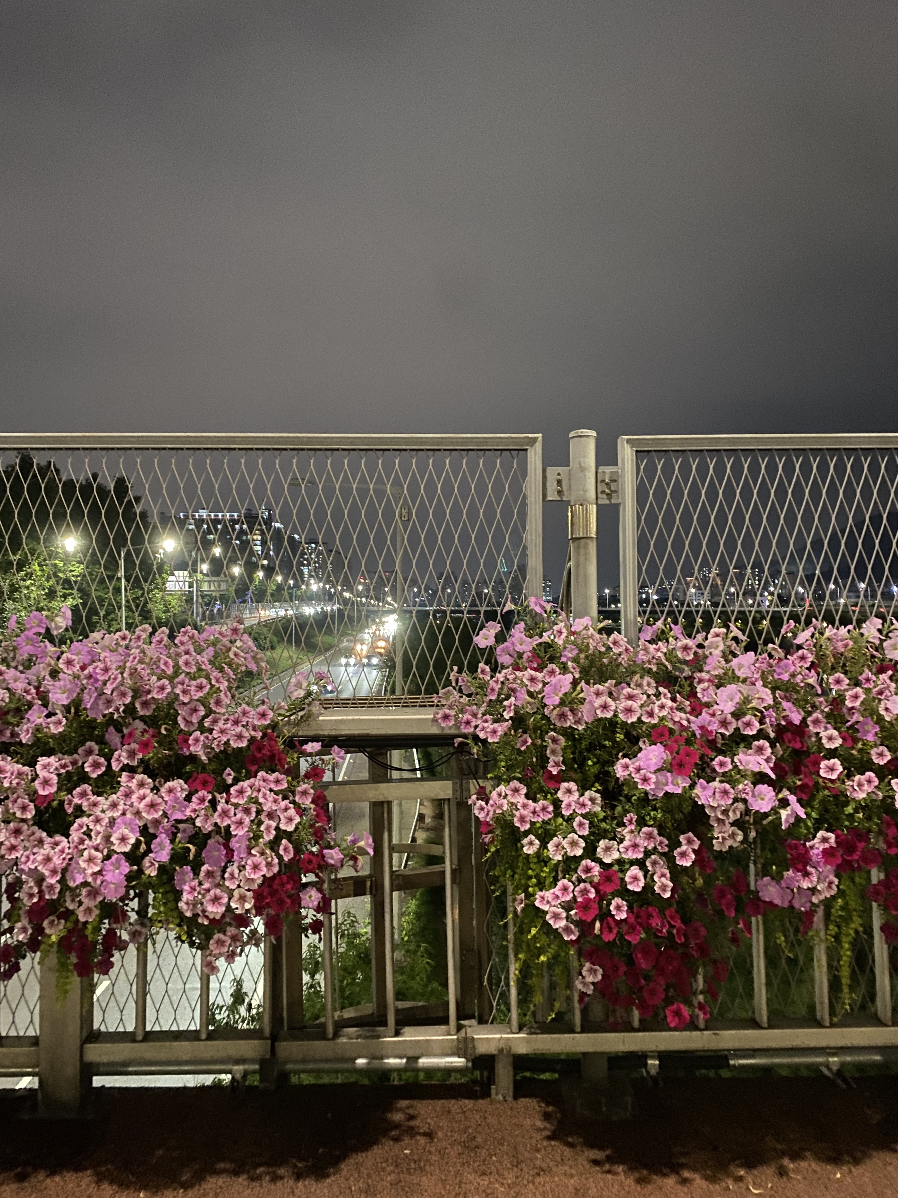 토정동, 서울특별시 to 불광동, 서울특별시