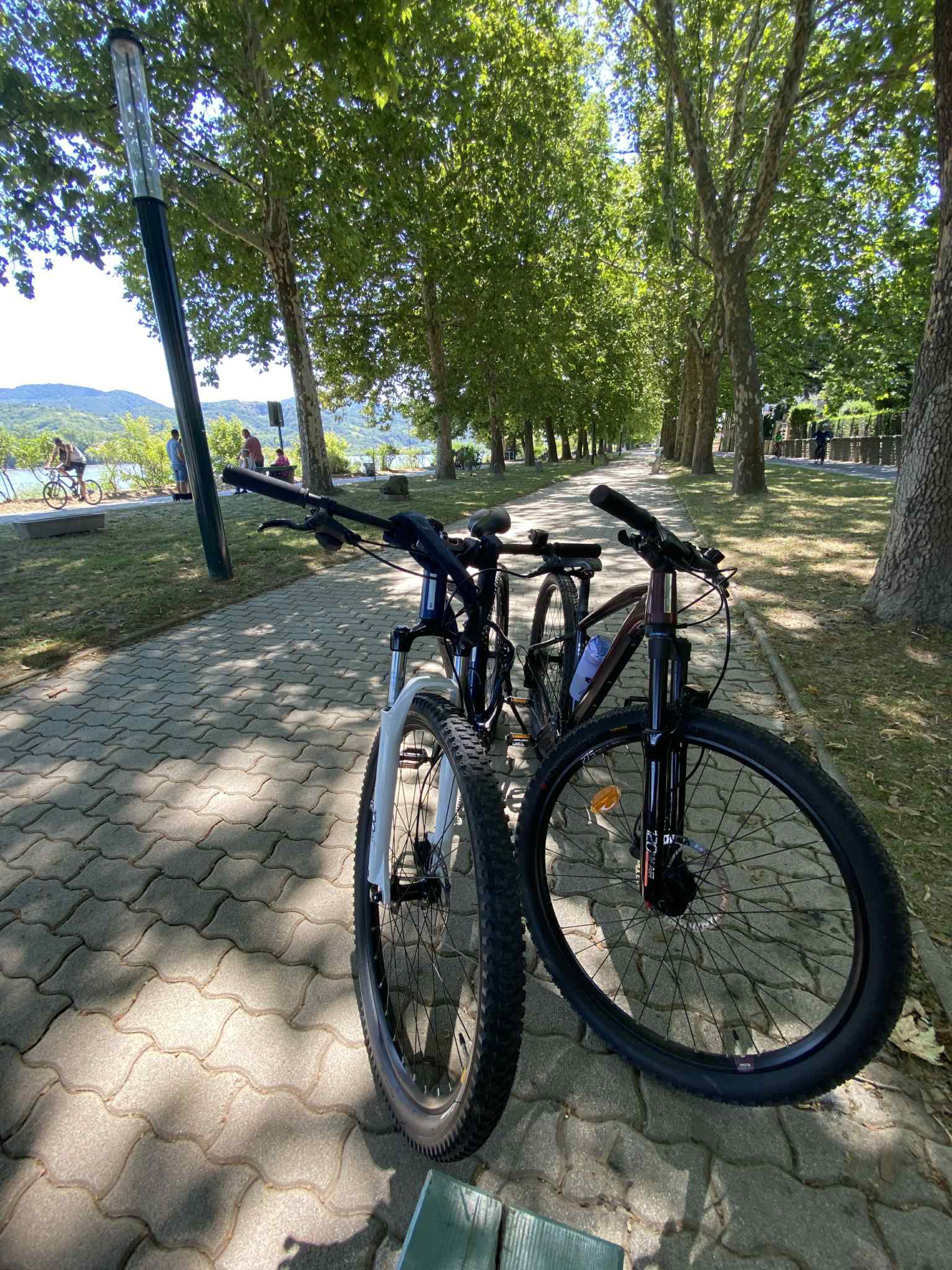 Kossuth Lajos út, Kismaros - Kossuth Lajos út, Kismaros